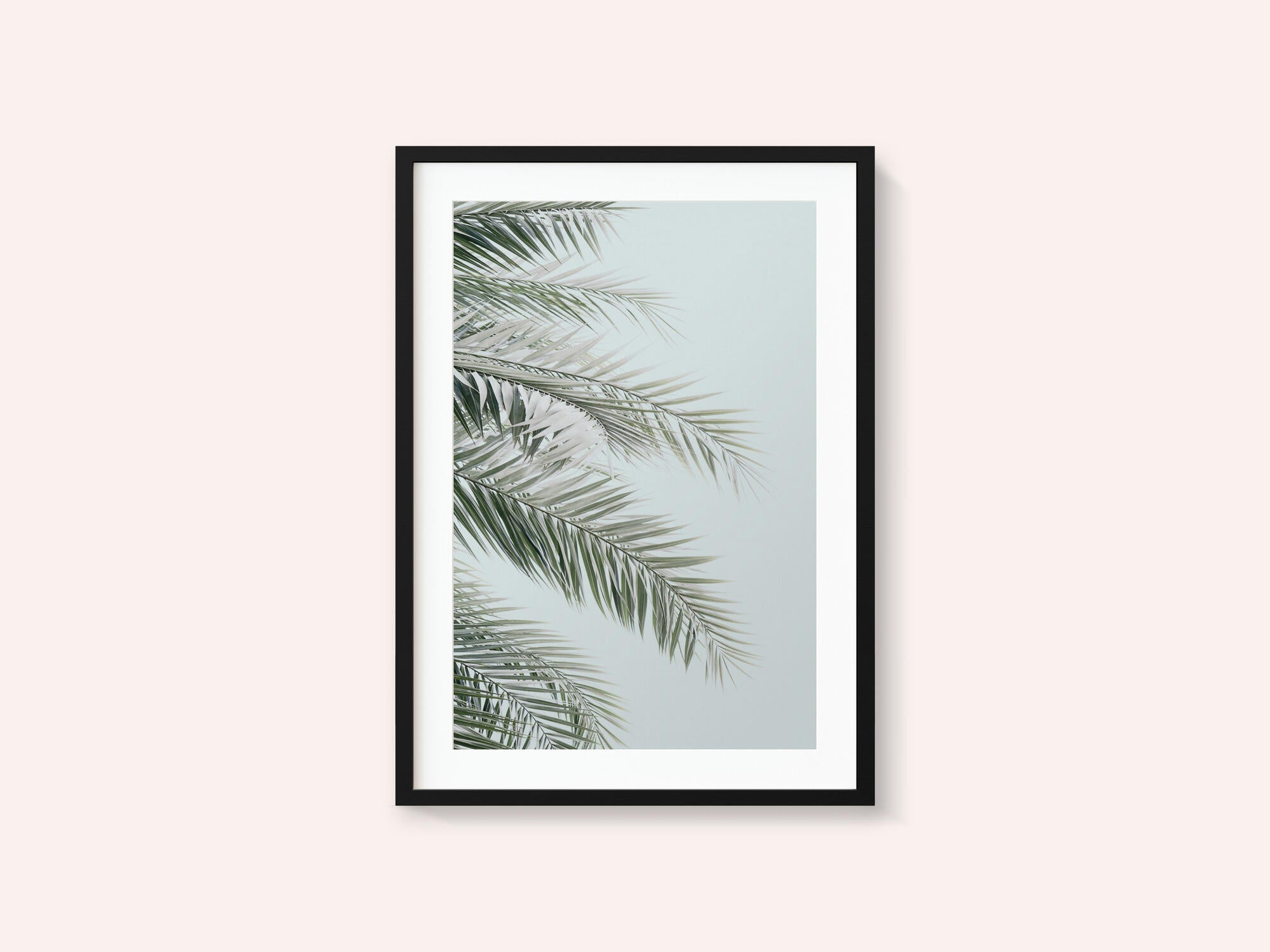 Blue Palms