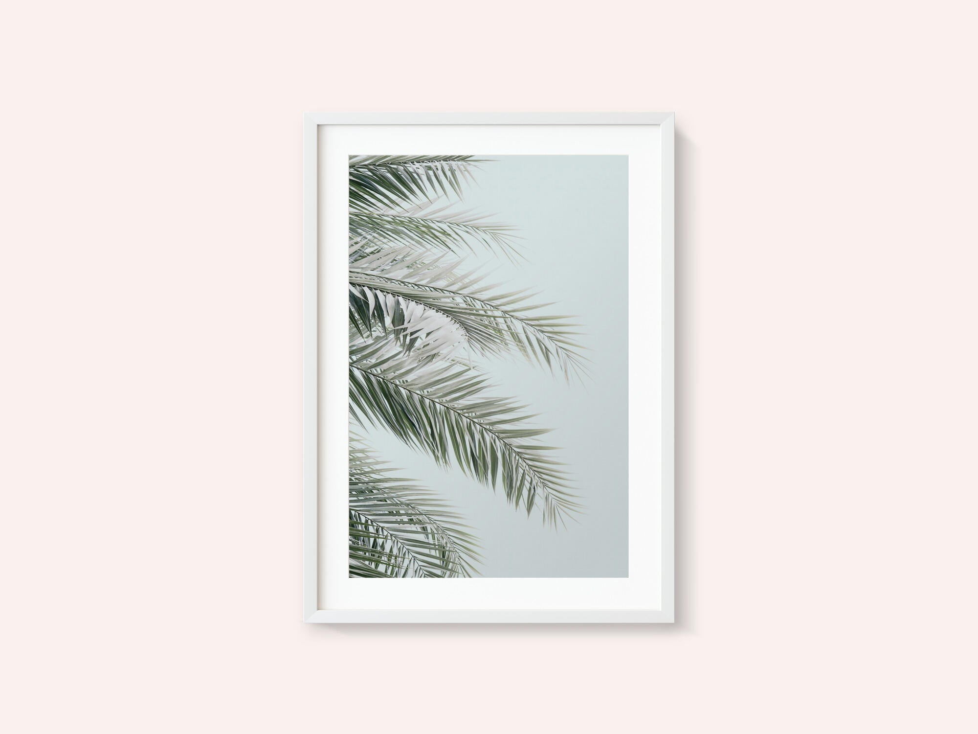 Blue Palms
