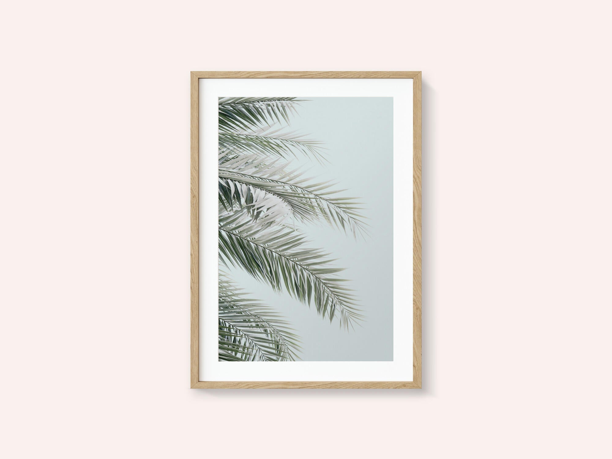 Blue Palms