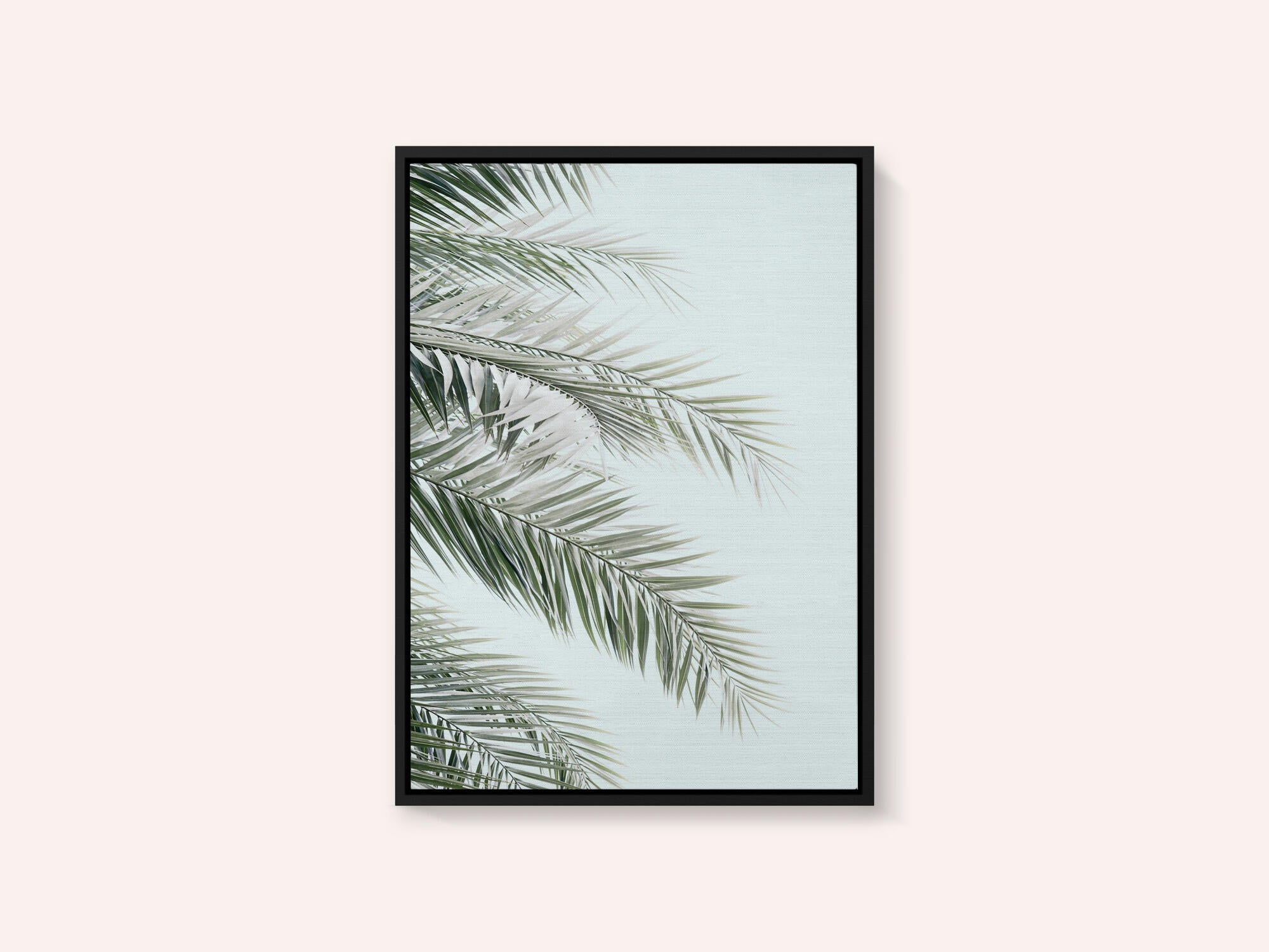 Blue Palms