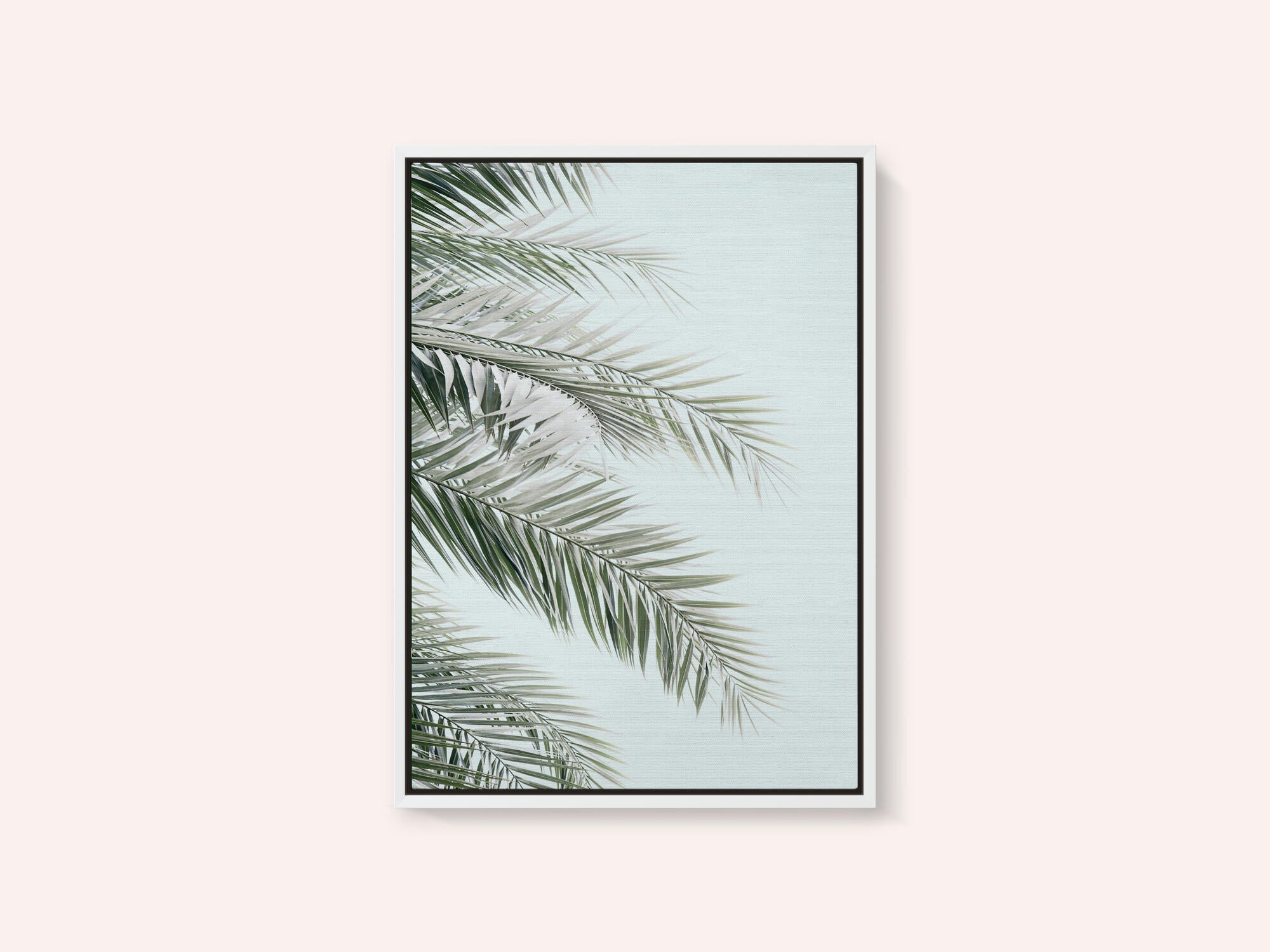 Blue Palms