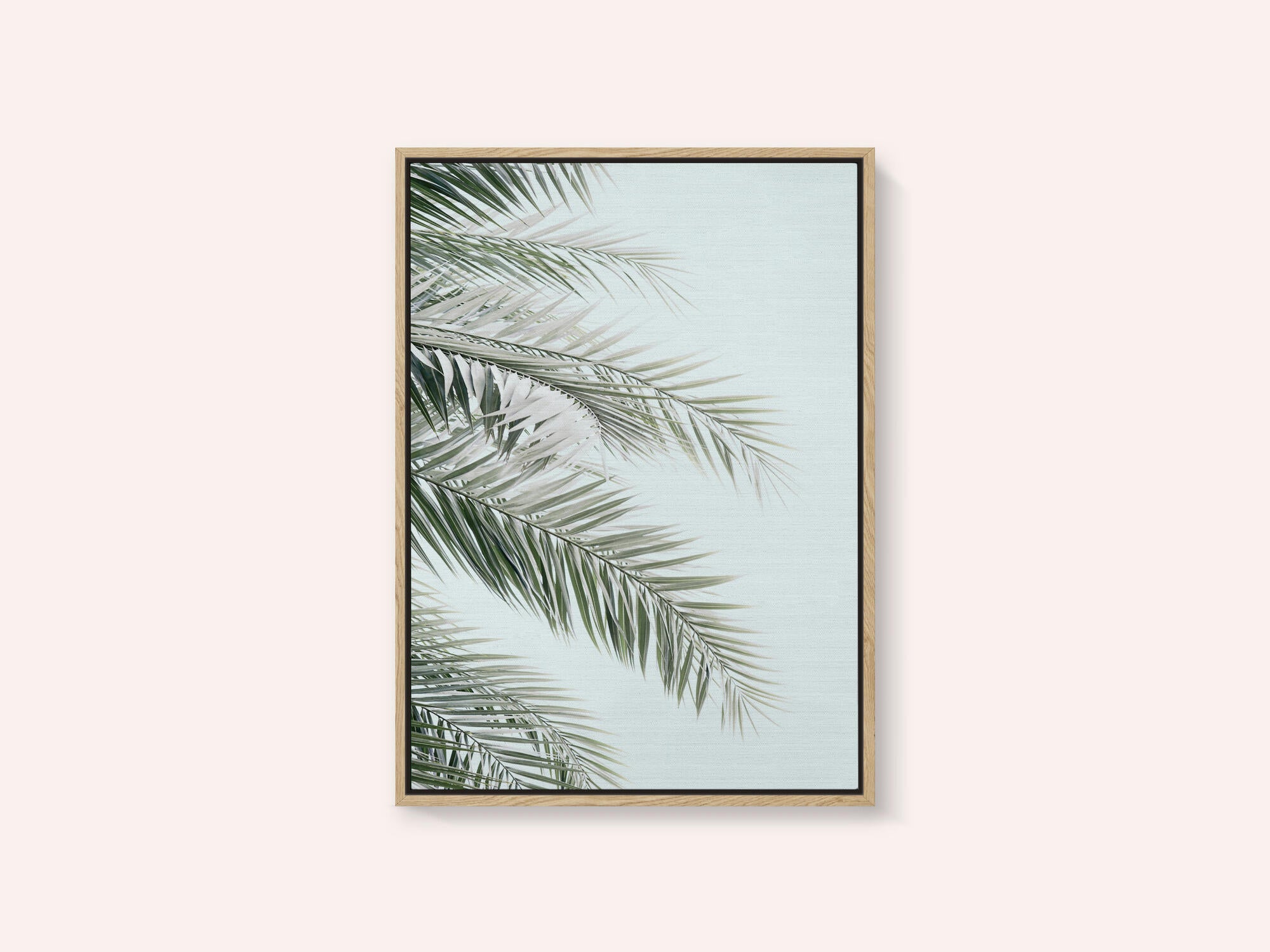 Blue Palms