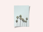 Blue Palm Trees