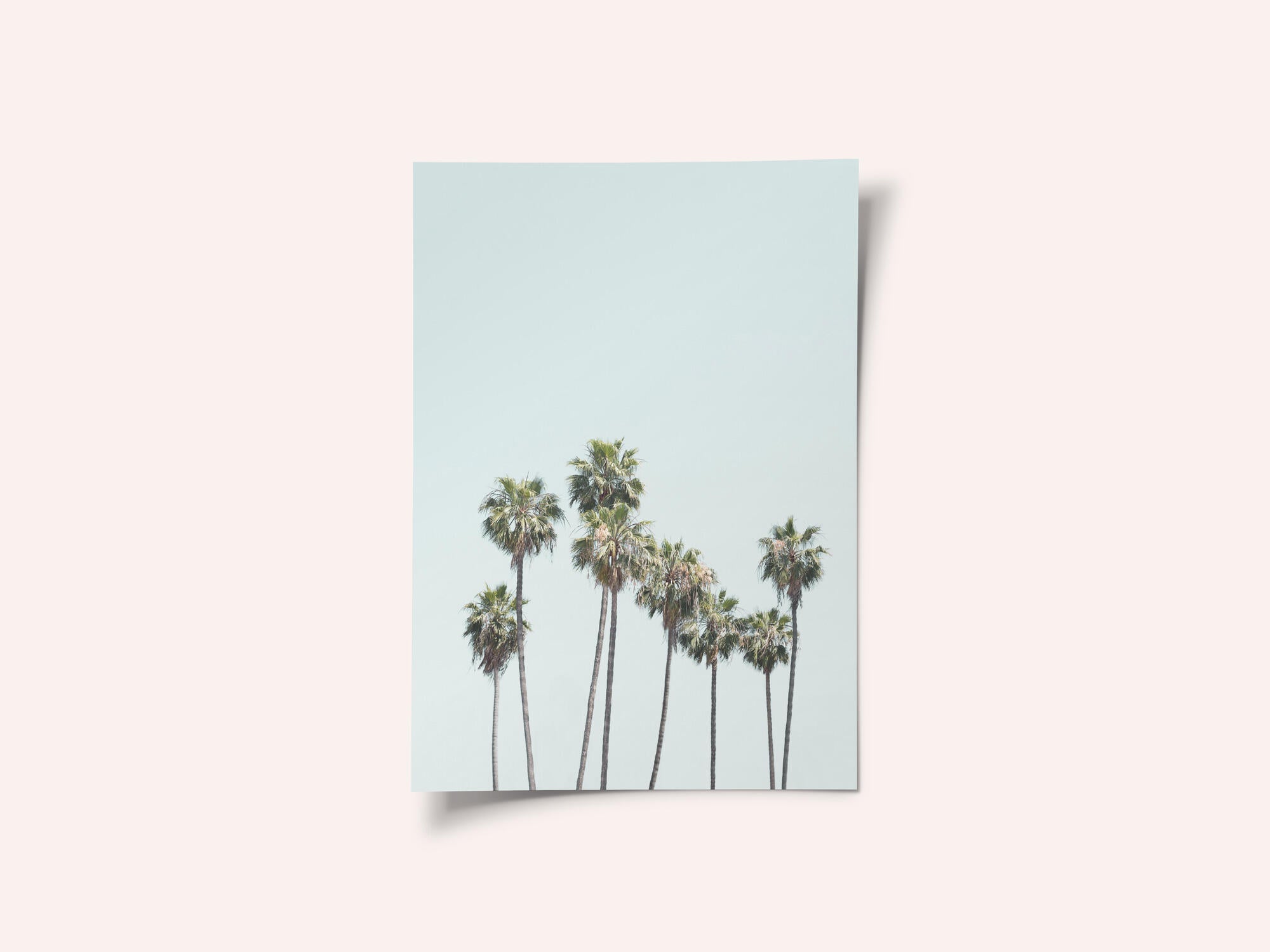 Blue Palm Trees