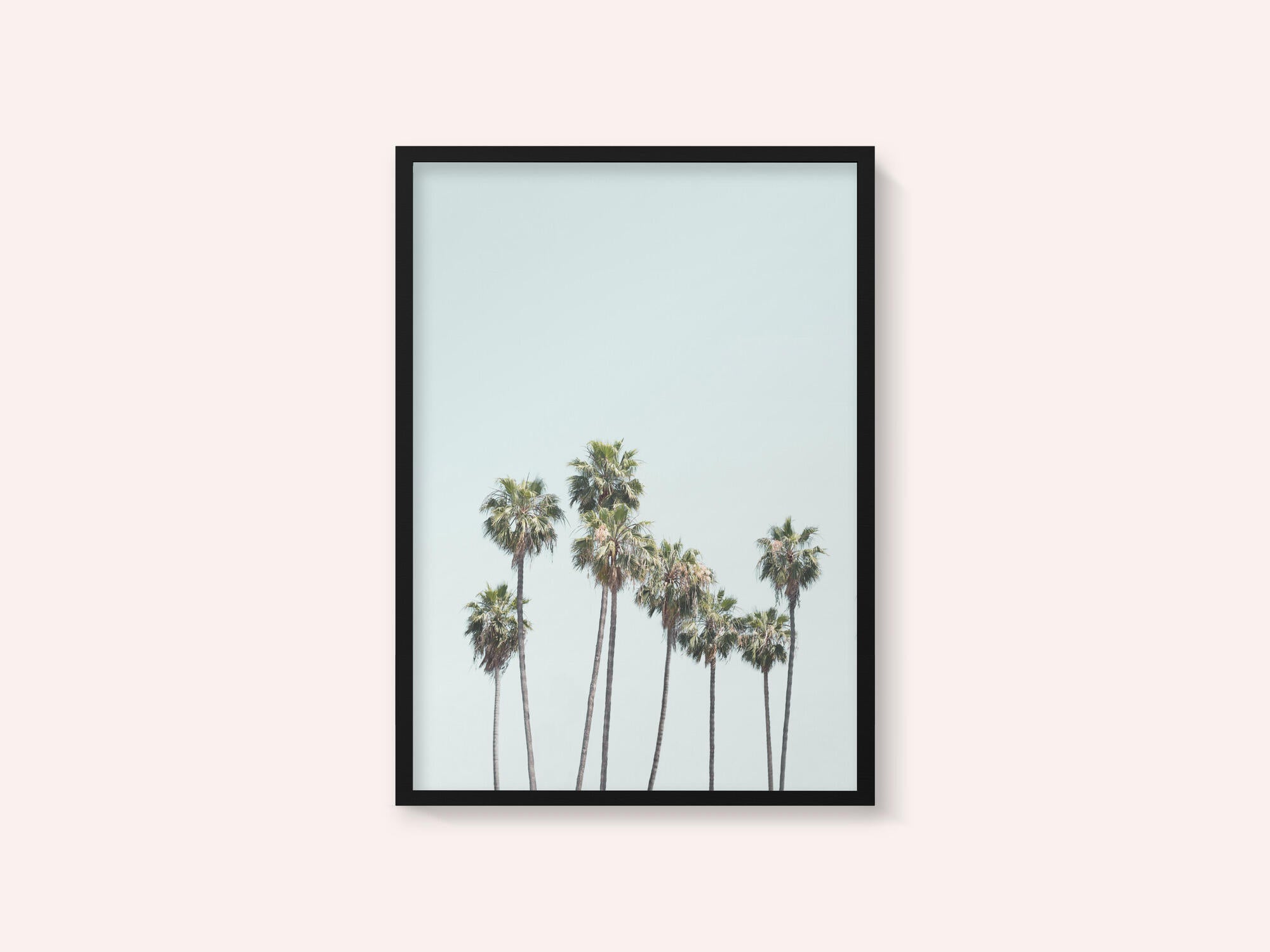 Blue Palm Trees