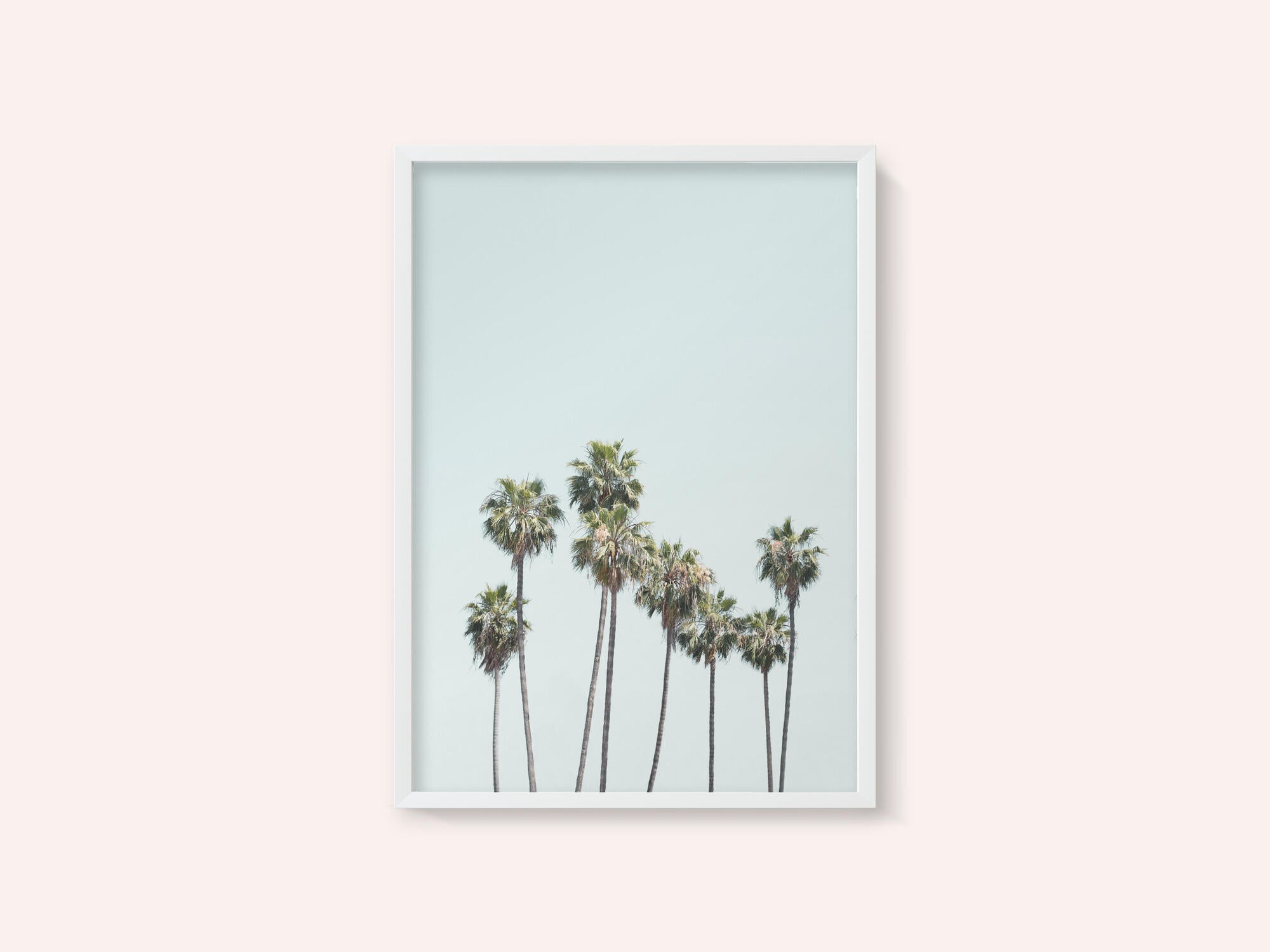 Blue Palm Trees