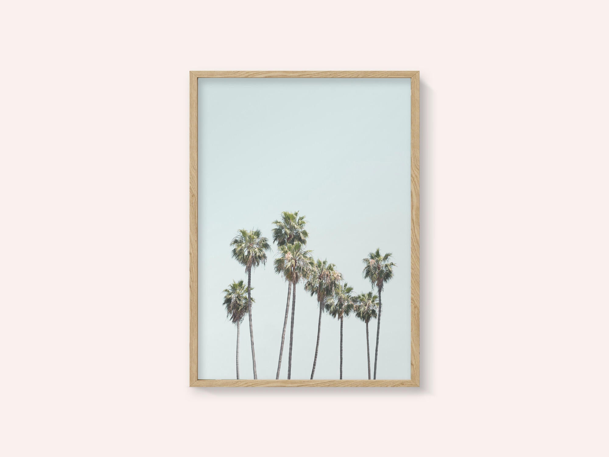 Blue Palm Trees