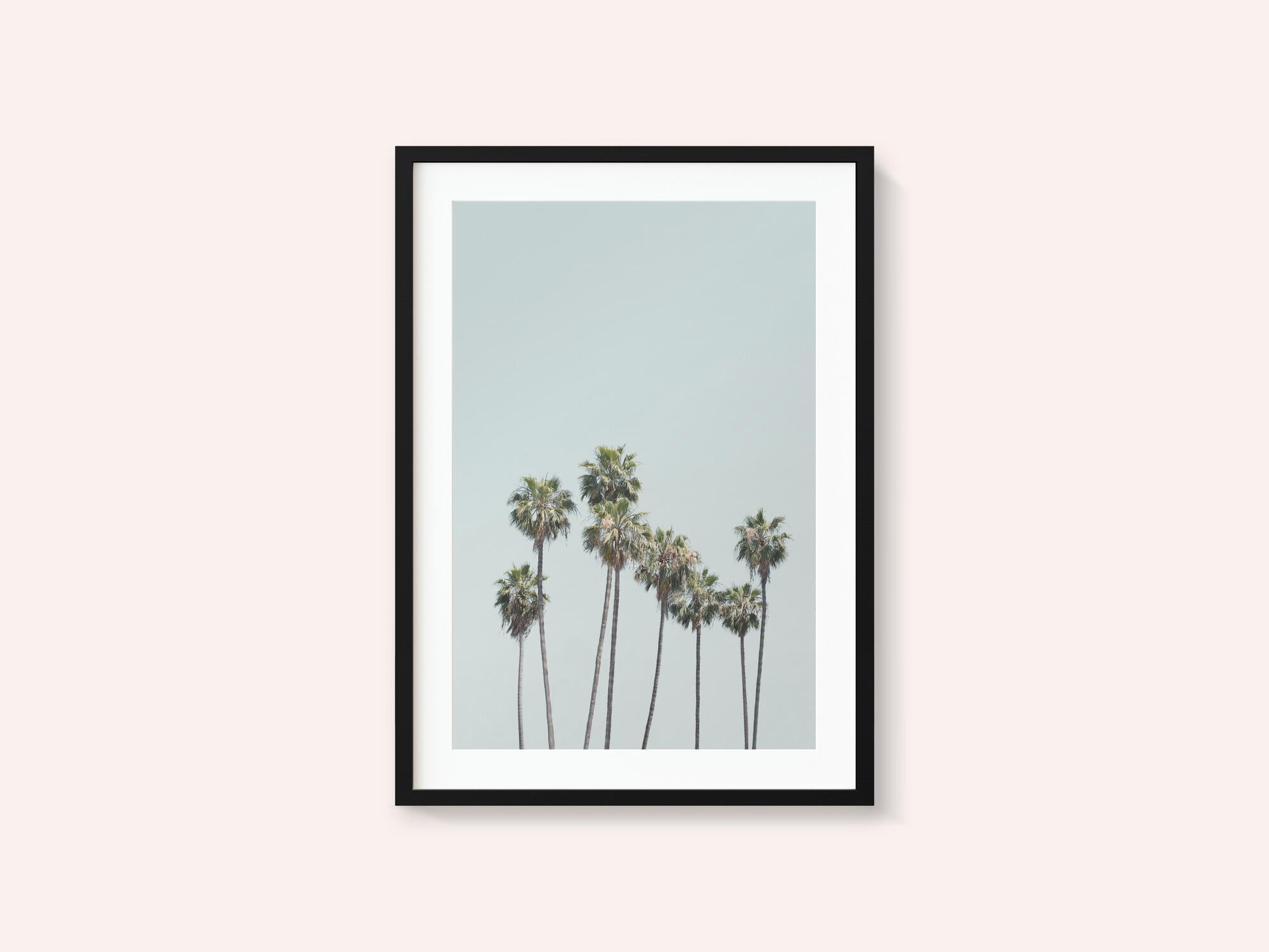 Blue Palm Trees