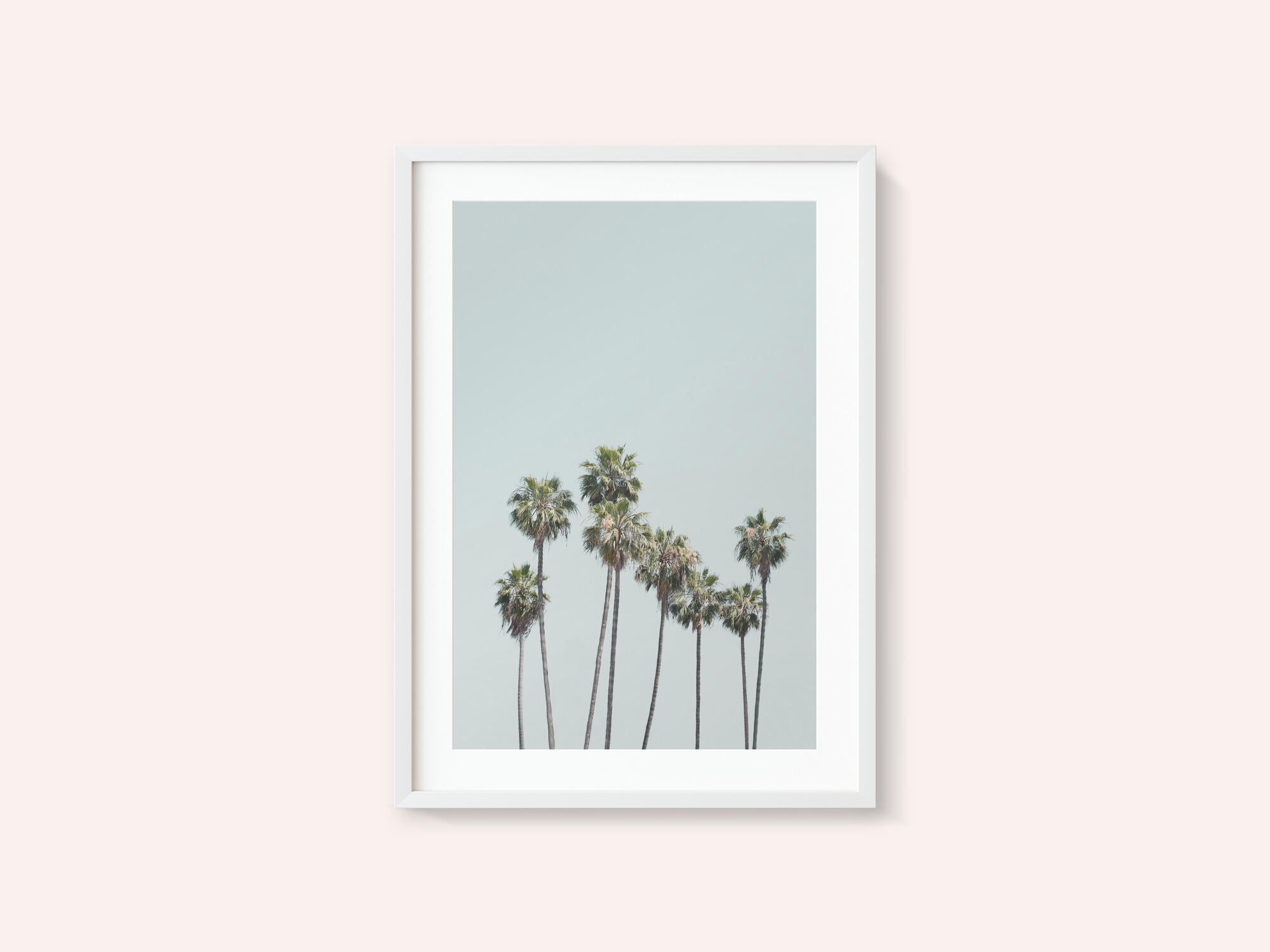 Blue Palm Trees