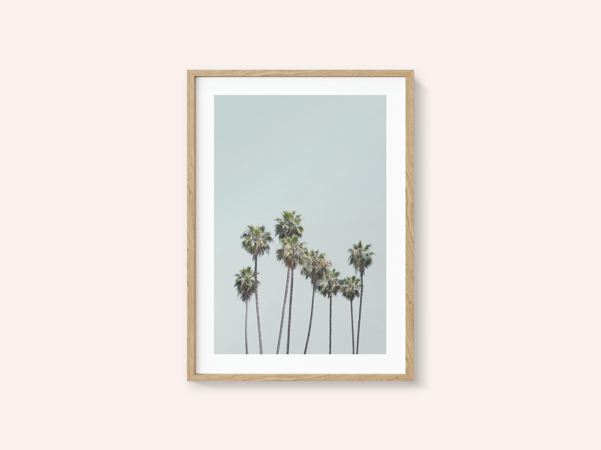 Blue Palm Trees