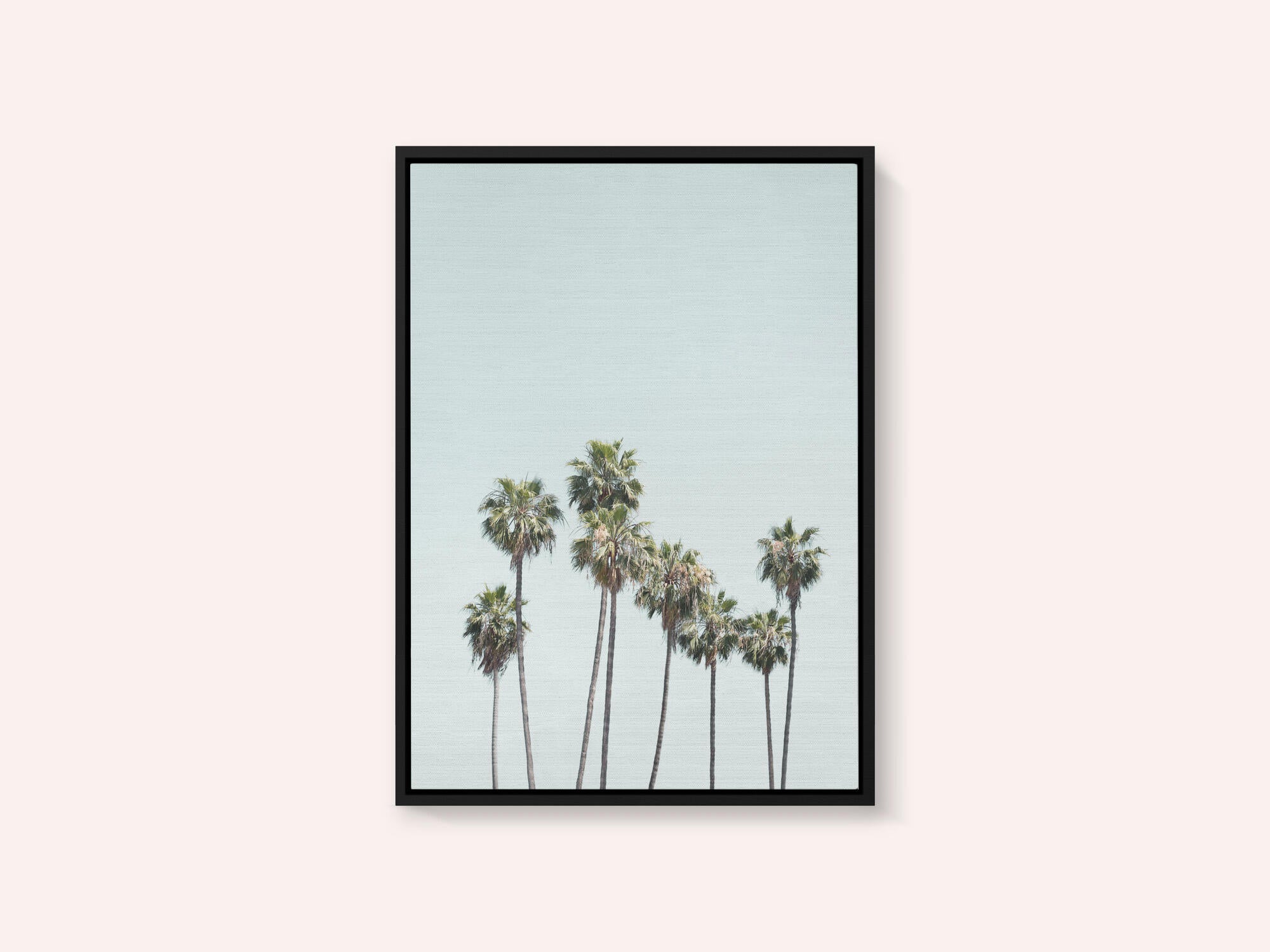 Blue Palm Trees