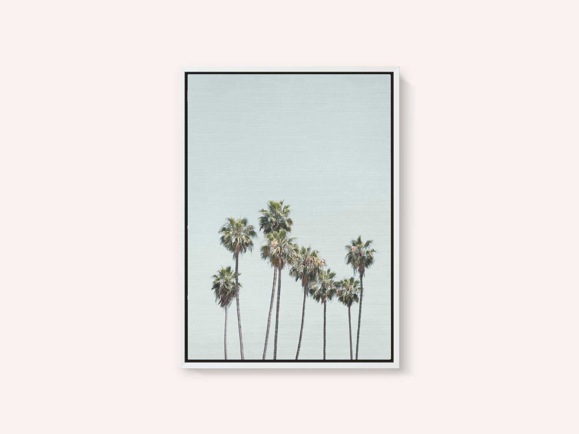 Blue Palm Trees