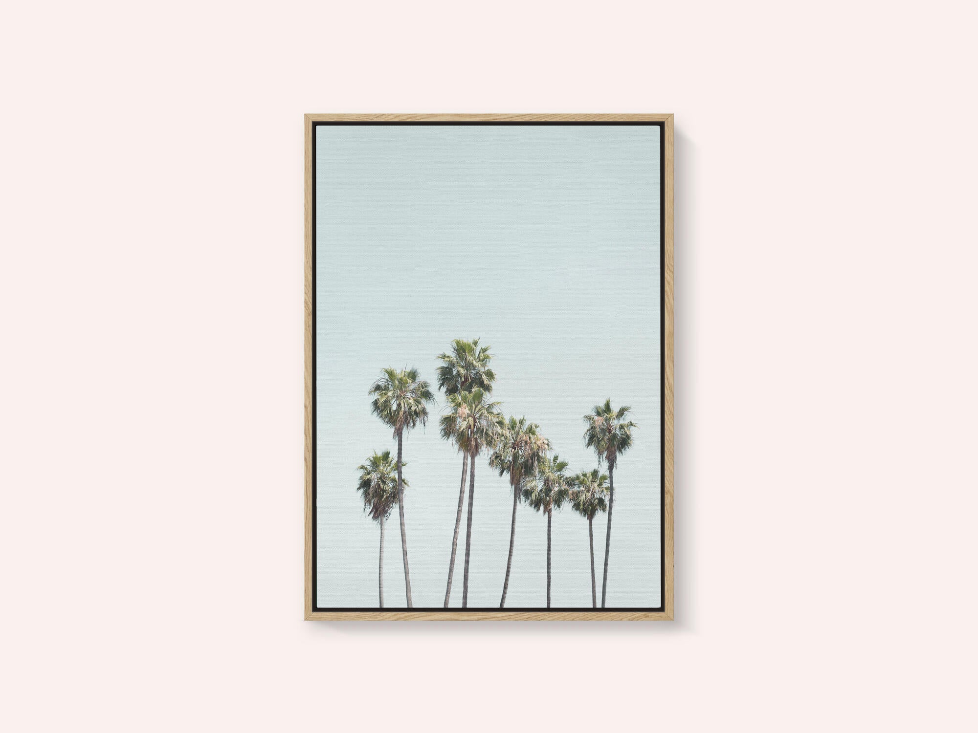 Blue Palm Trees