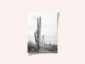 Saguaro B&amp;W