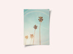 Sunny Cali Palm Tree