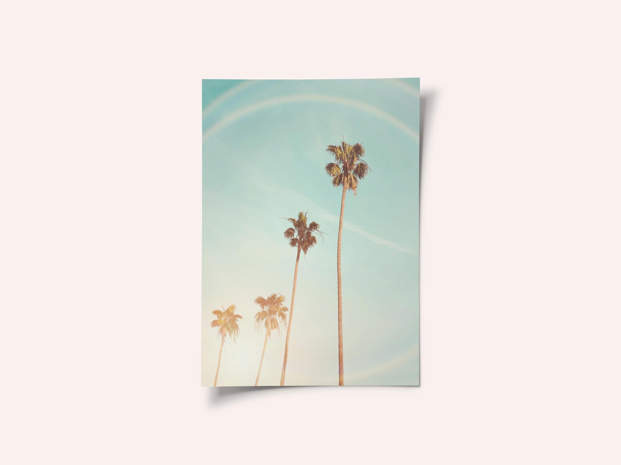 Sunny Cali Palm Tree
