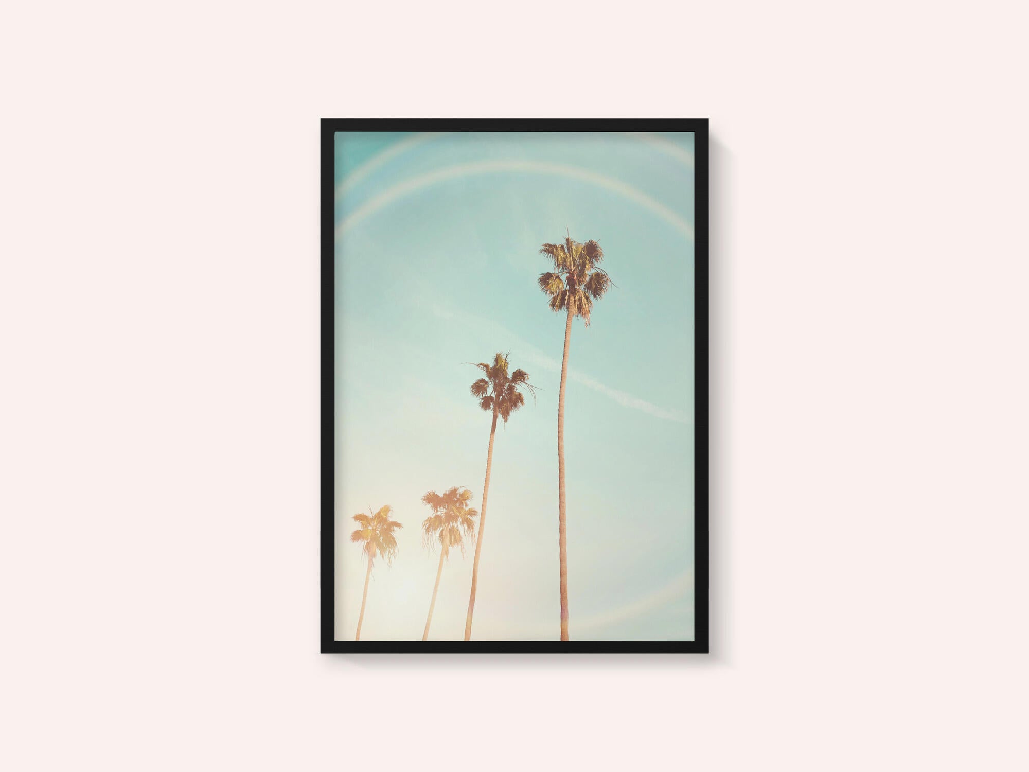 Sunny Cali Palm Tree