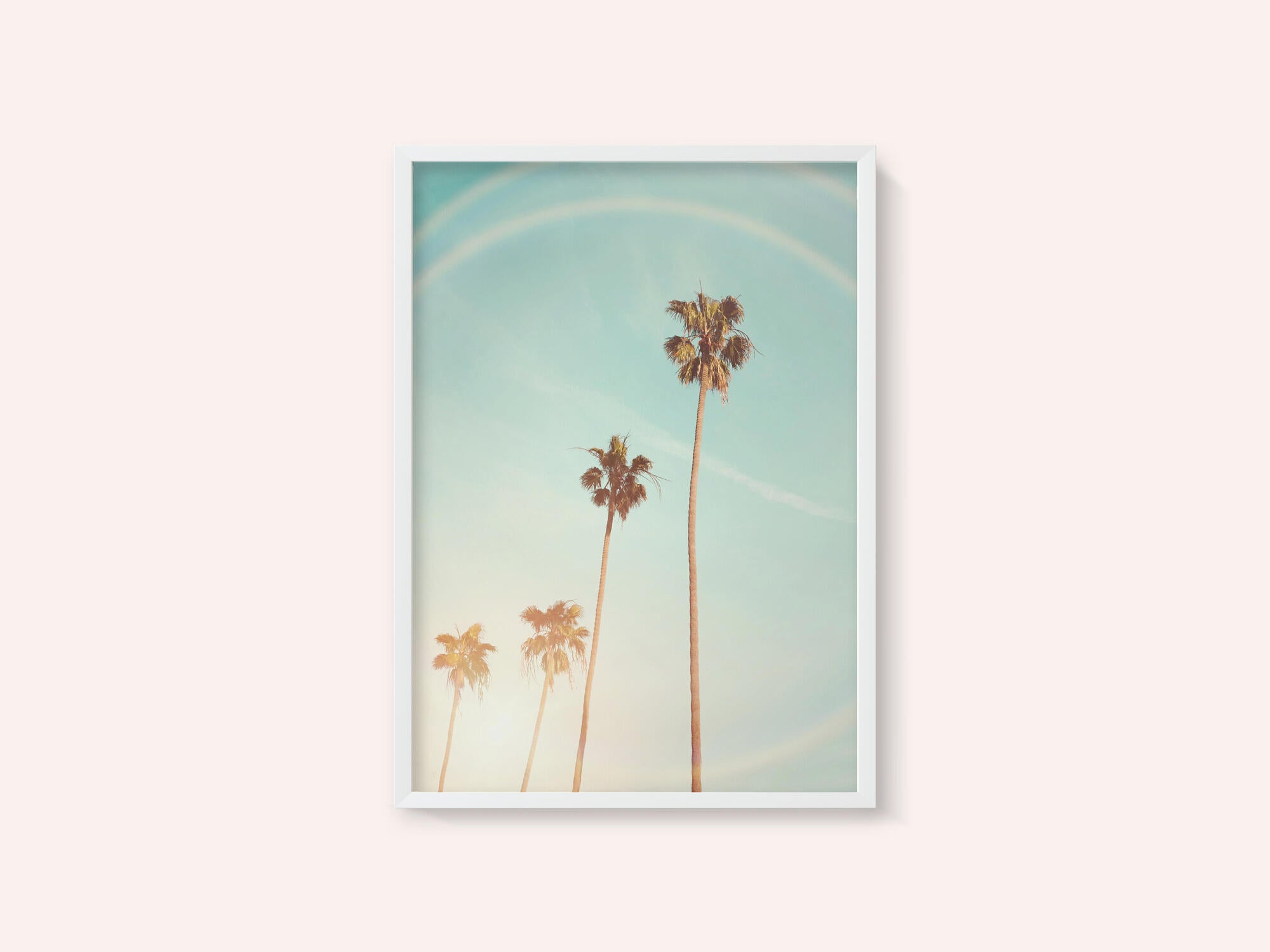 Sunny Cali Palm Tree