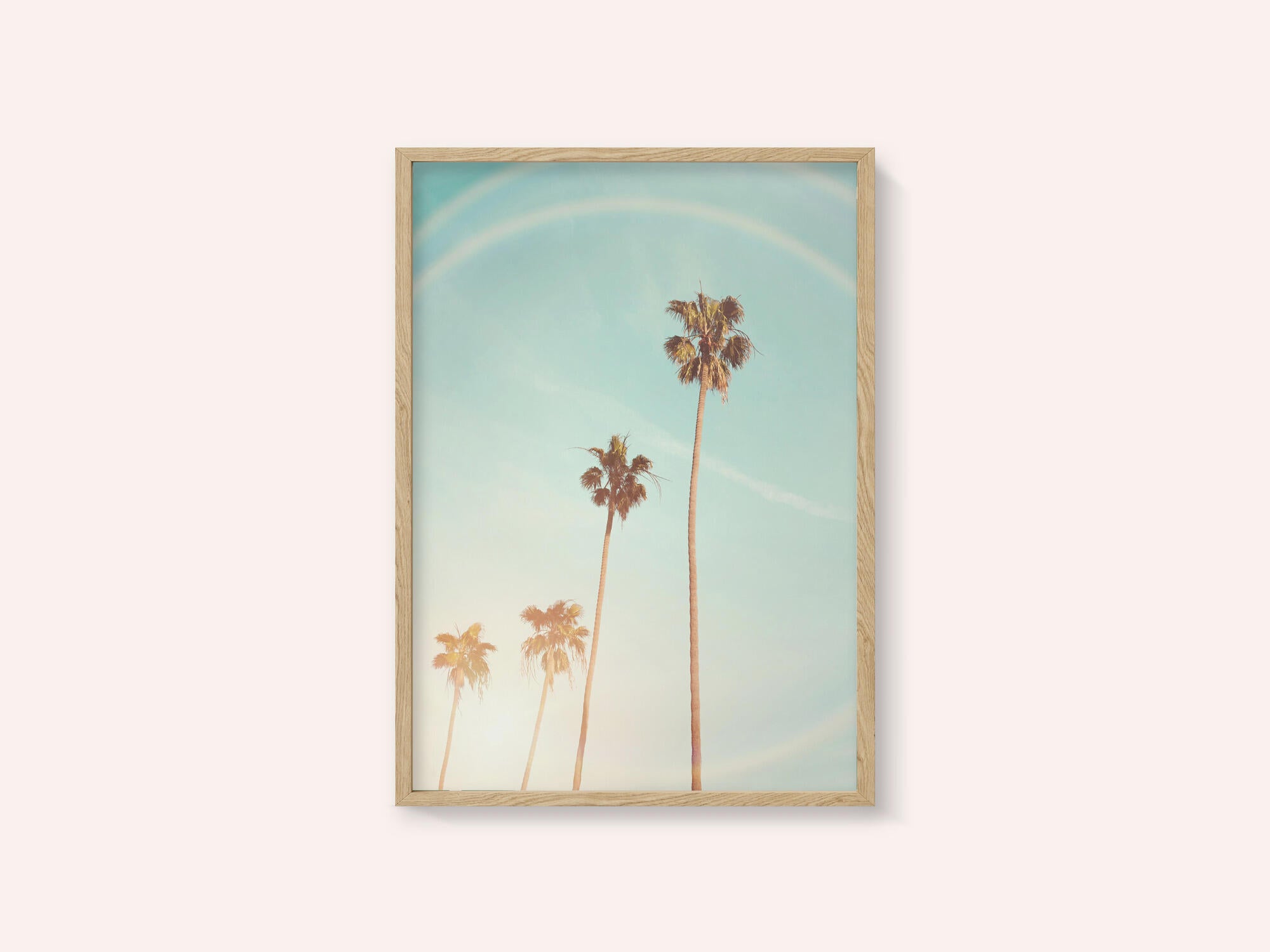 Sunny Cali Palm Tree