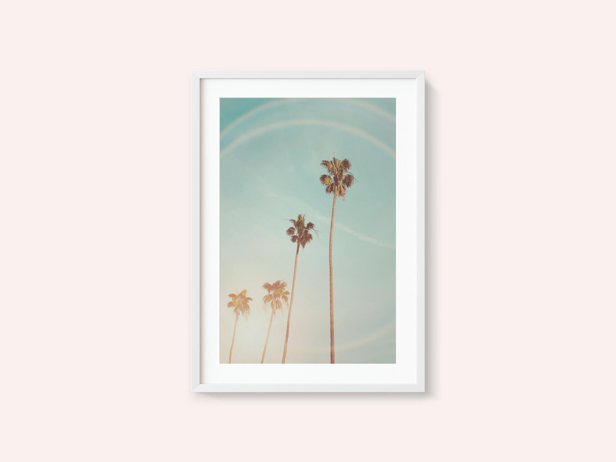 Sunny Cali Palm Tree