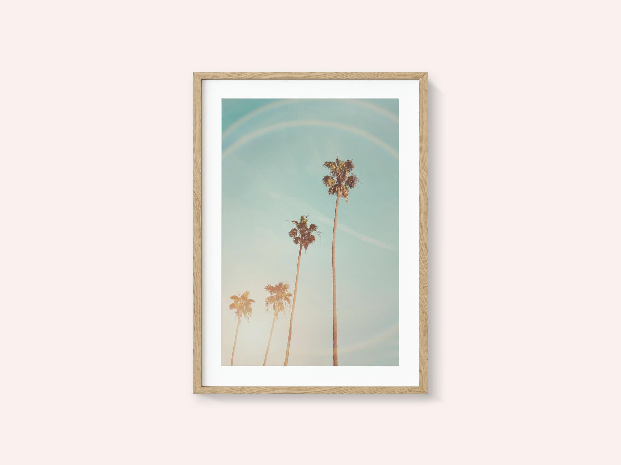 Sunny Cali Palm Tree