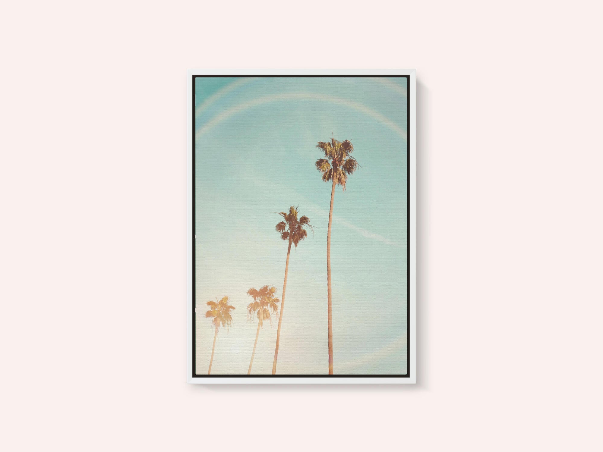Sunny Cali Palm Tree