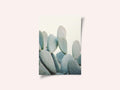 Pastel Cacti