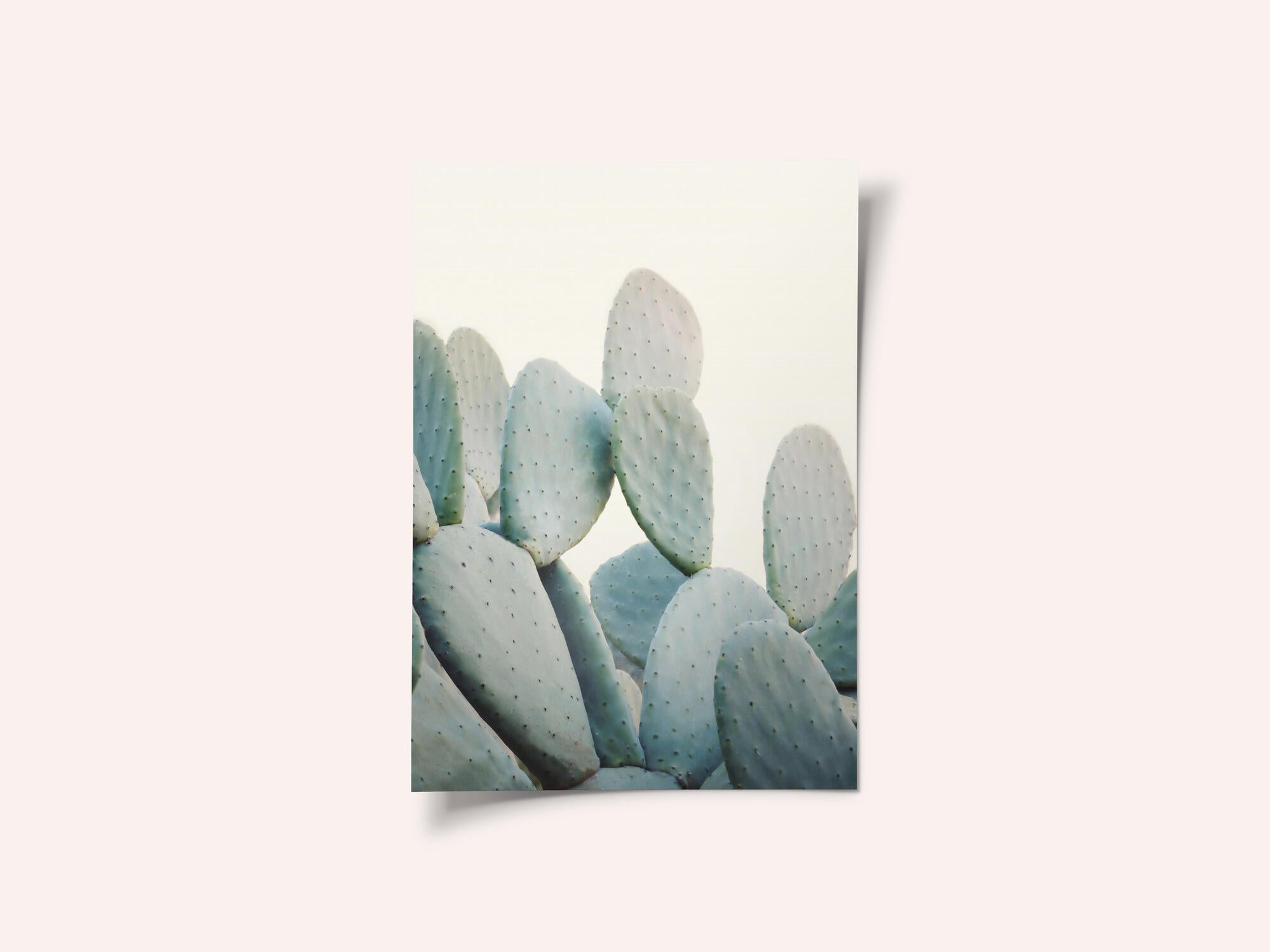 Pastel Cacti
