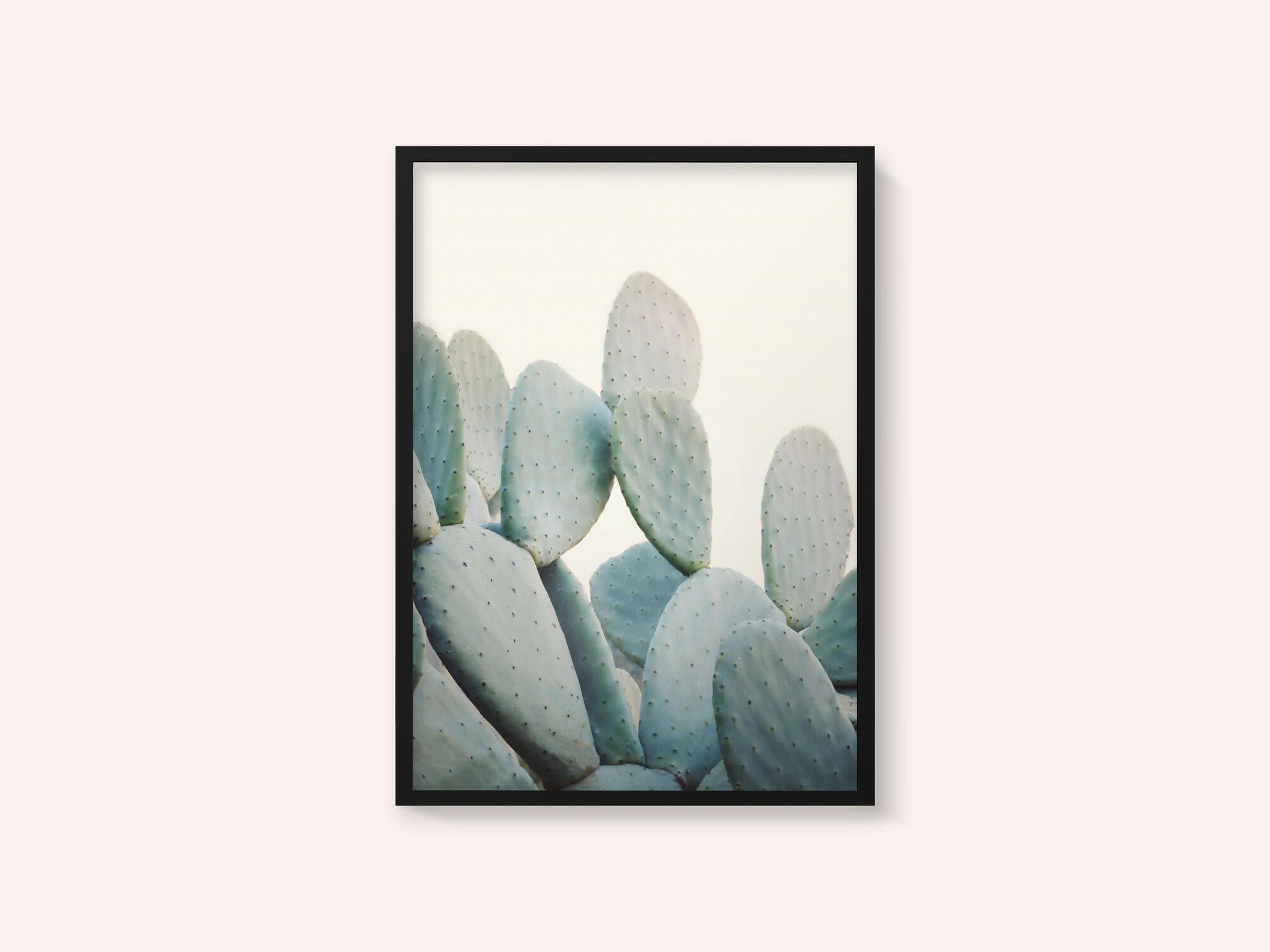 Pastel Cacti