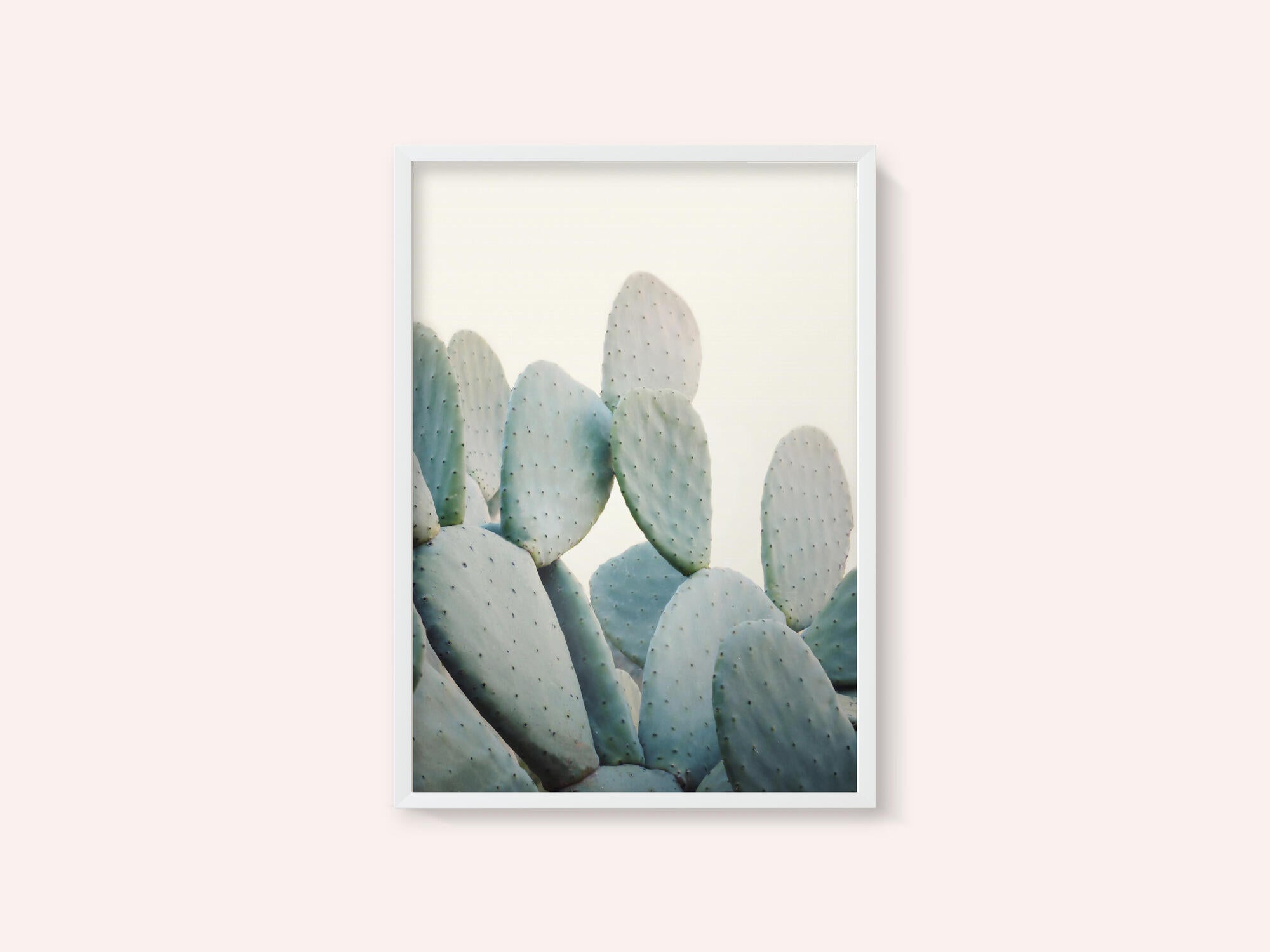 Pastel Cacti