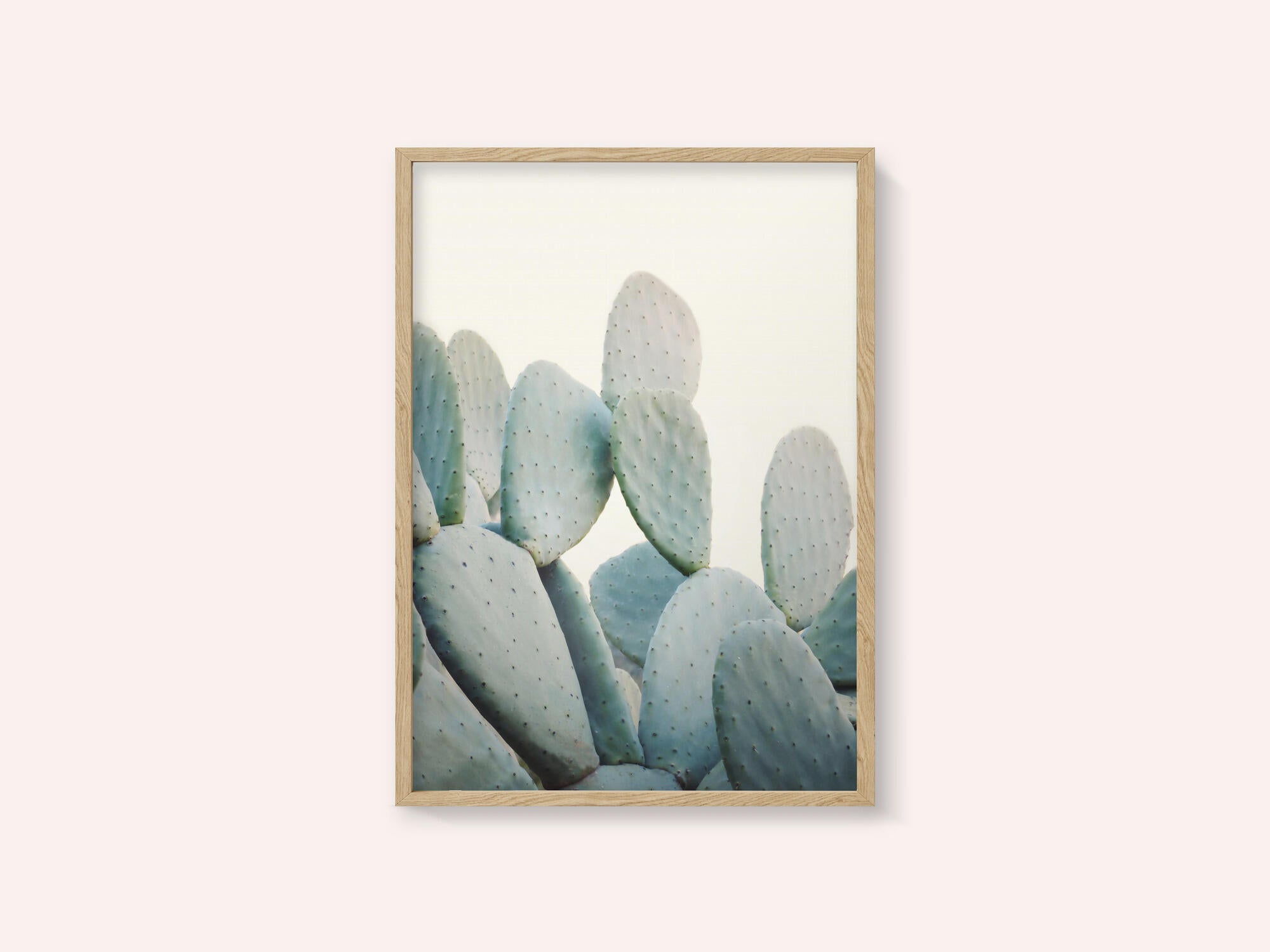 Pastel Cacti