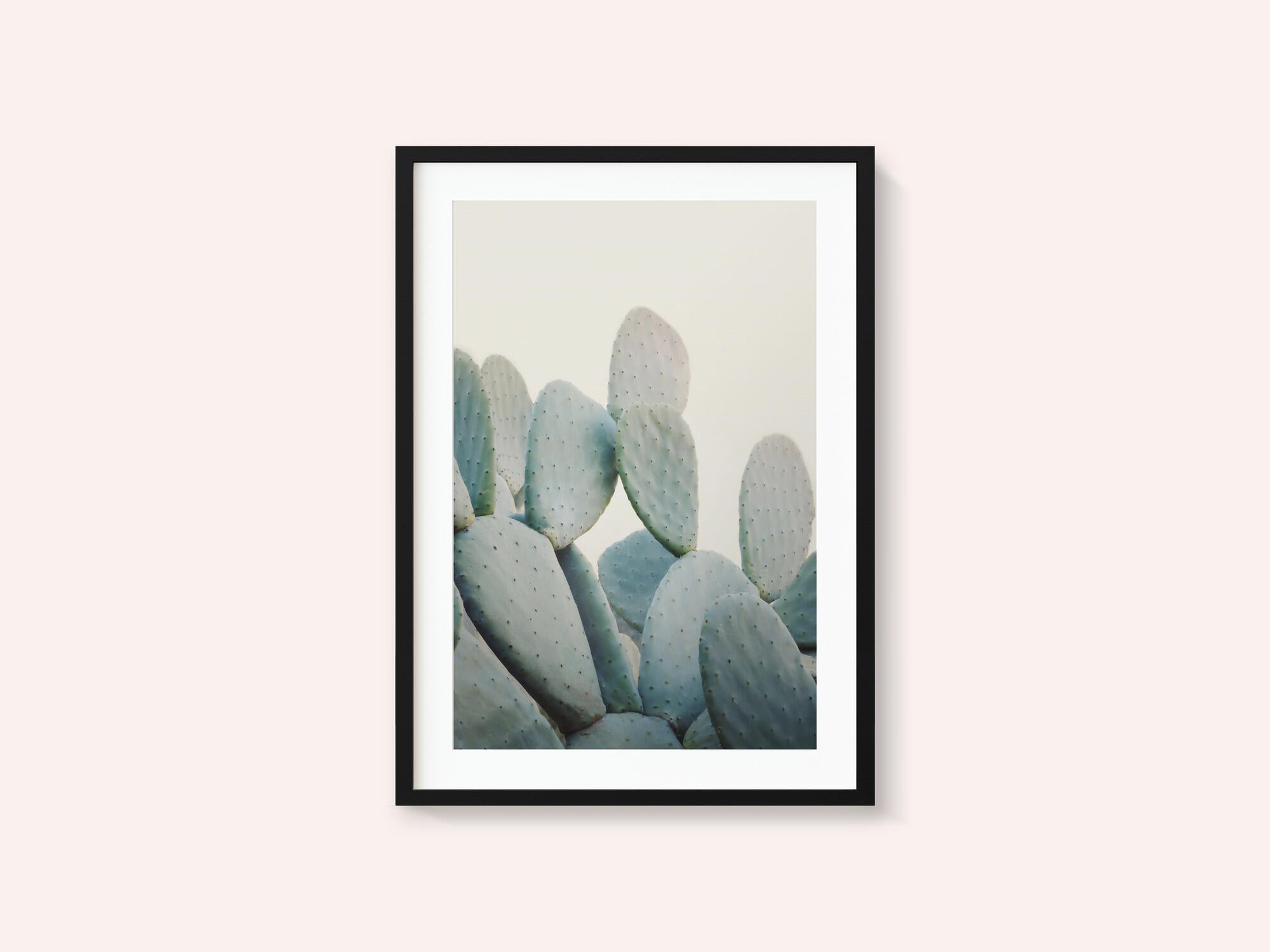 Pastel Cacti