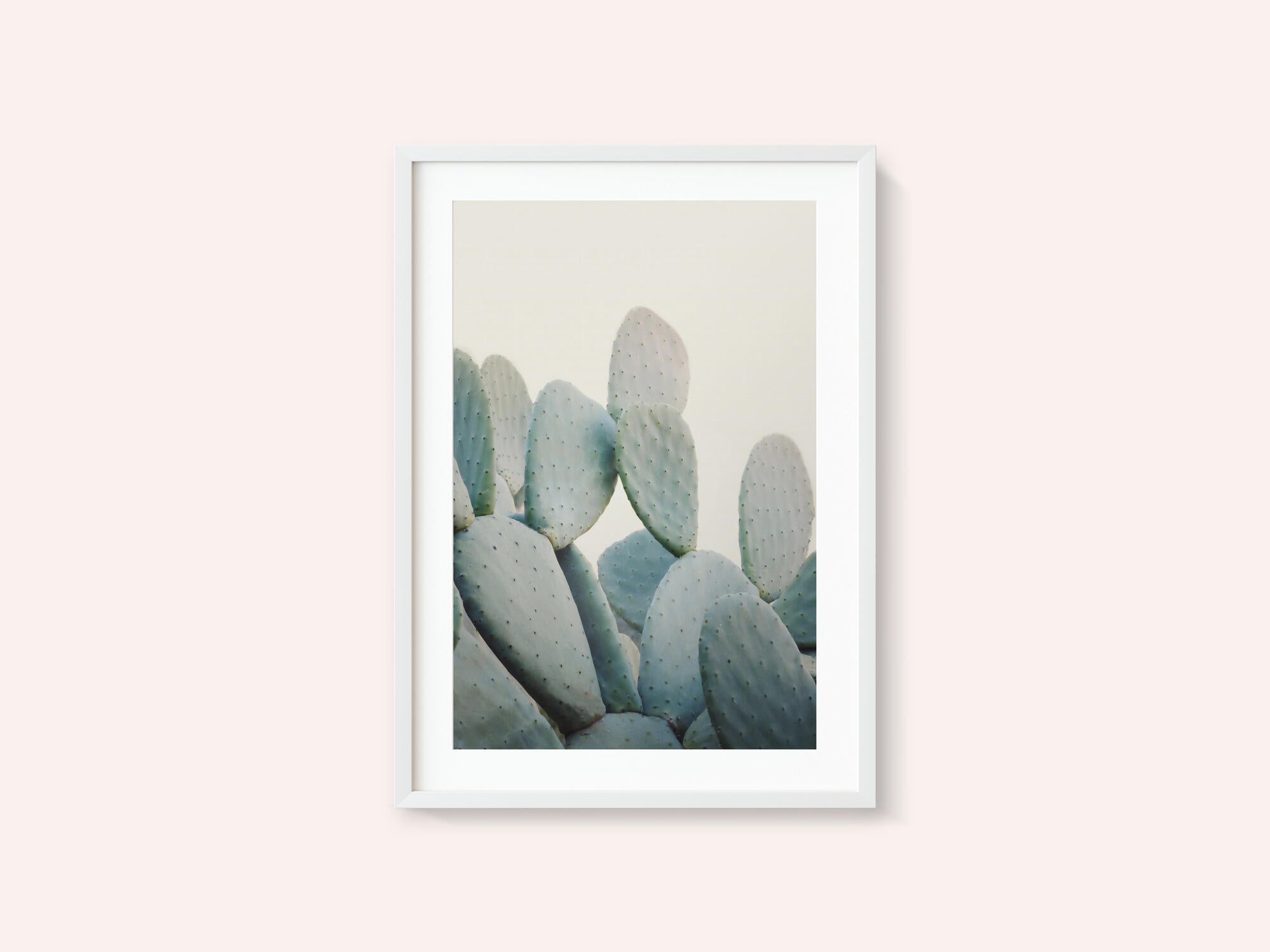 Pastel Cacti