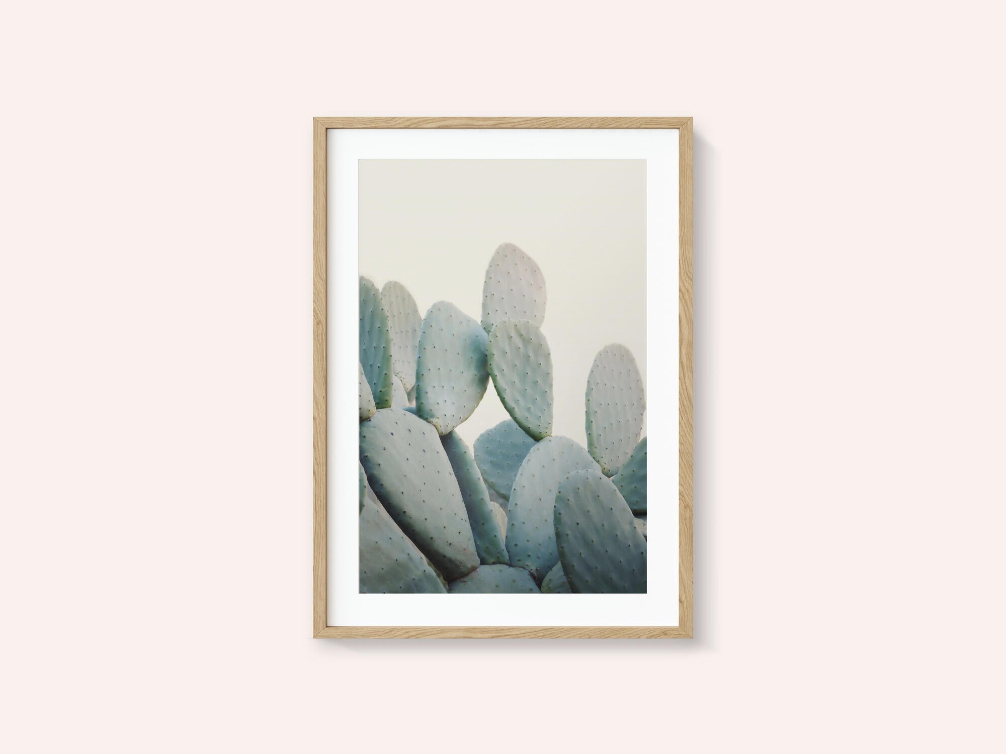 Pastel Cacti