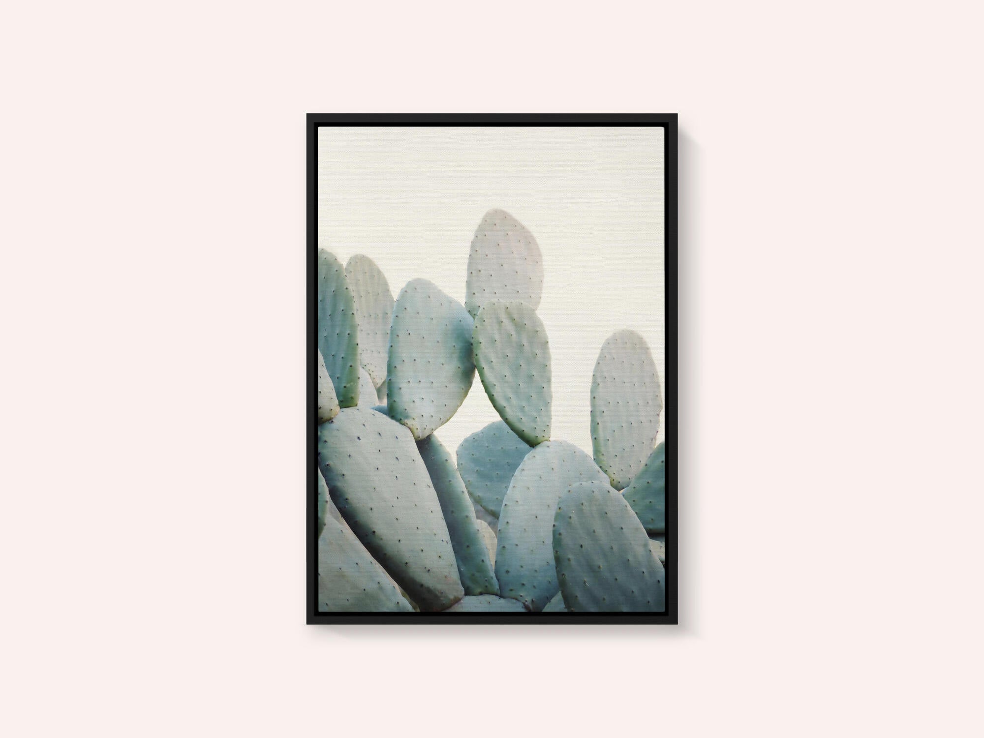 Pastel Cacti