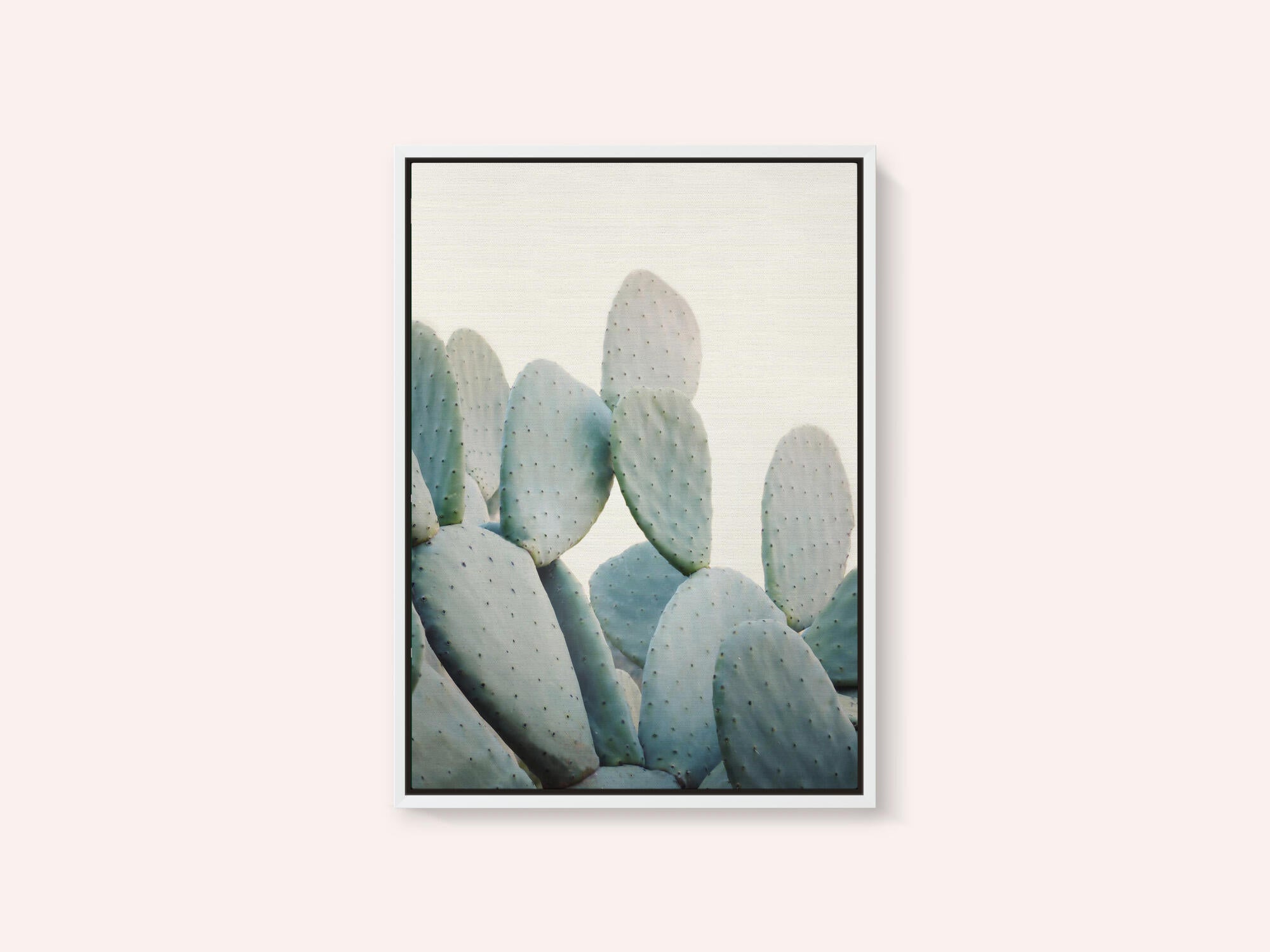 Pastel Cacti