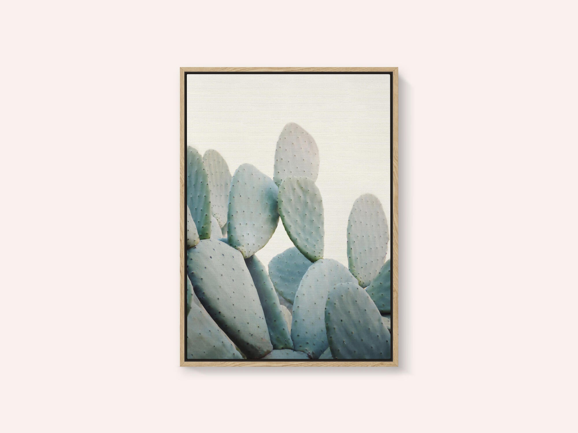 Pastel Cacti