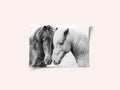 Horse Love