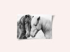 Horse Love