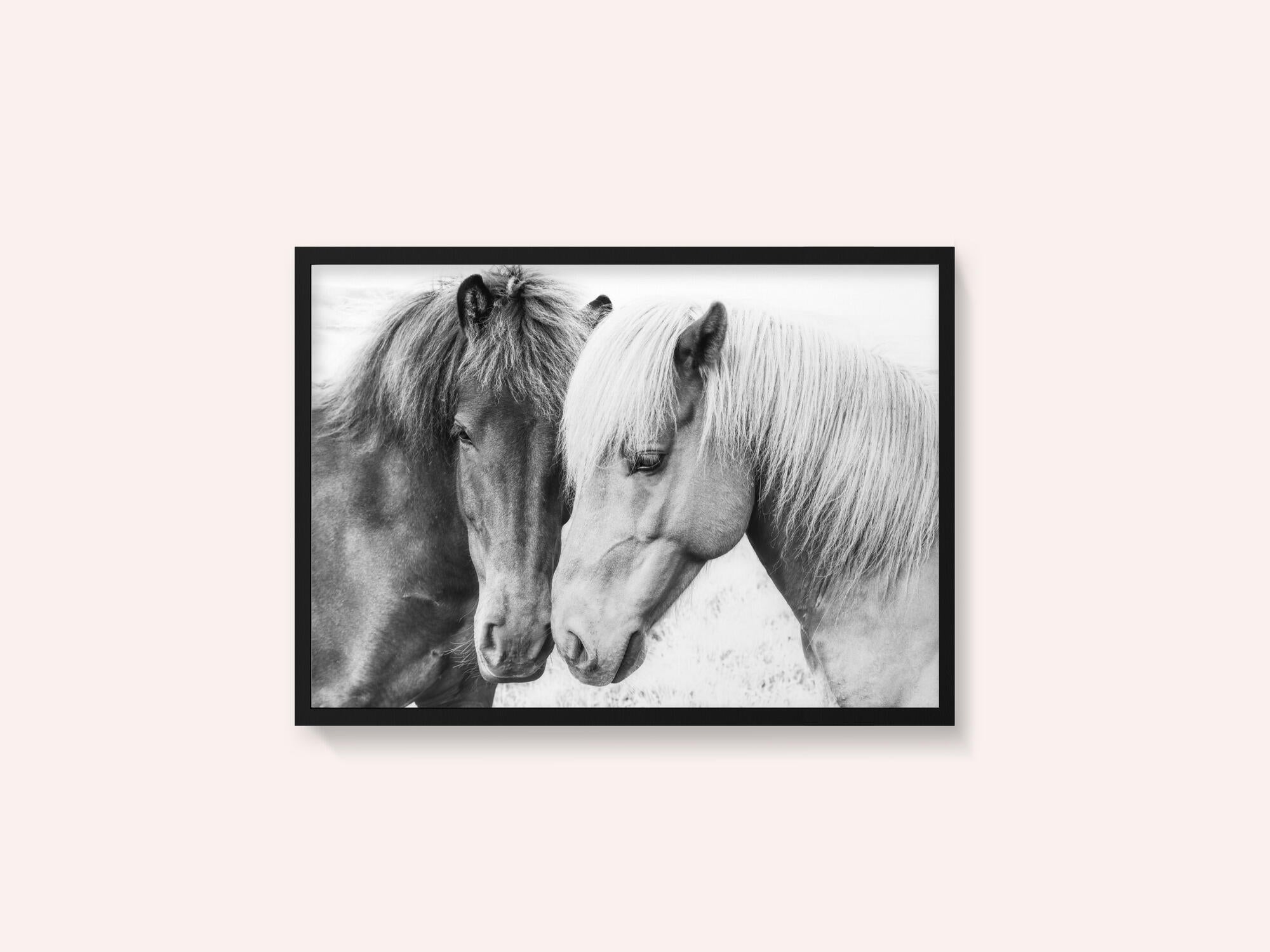 Horse Love