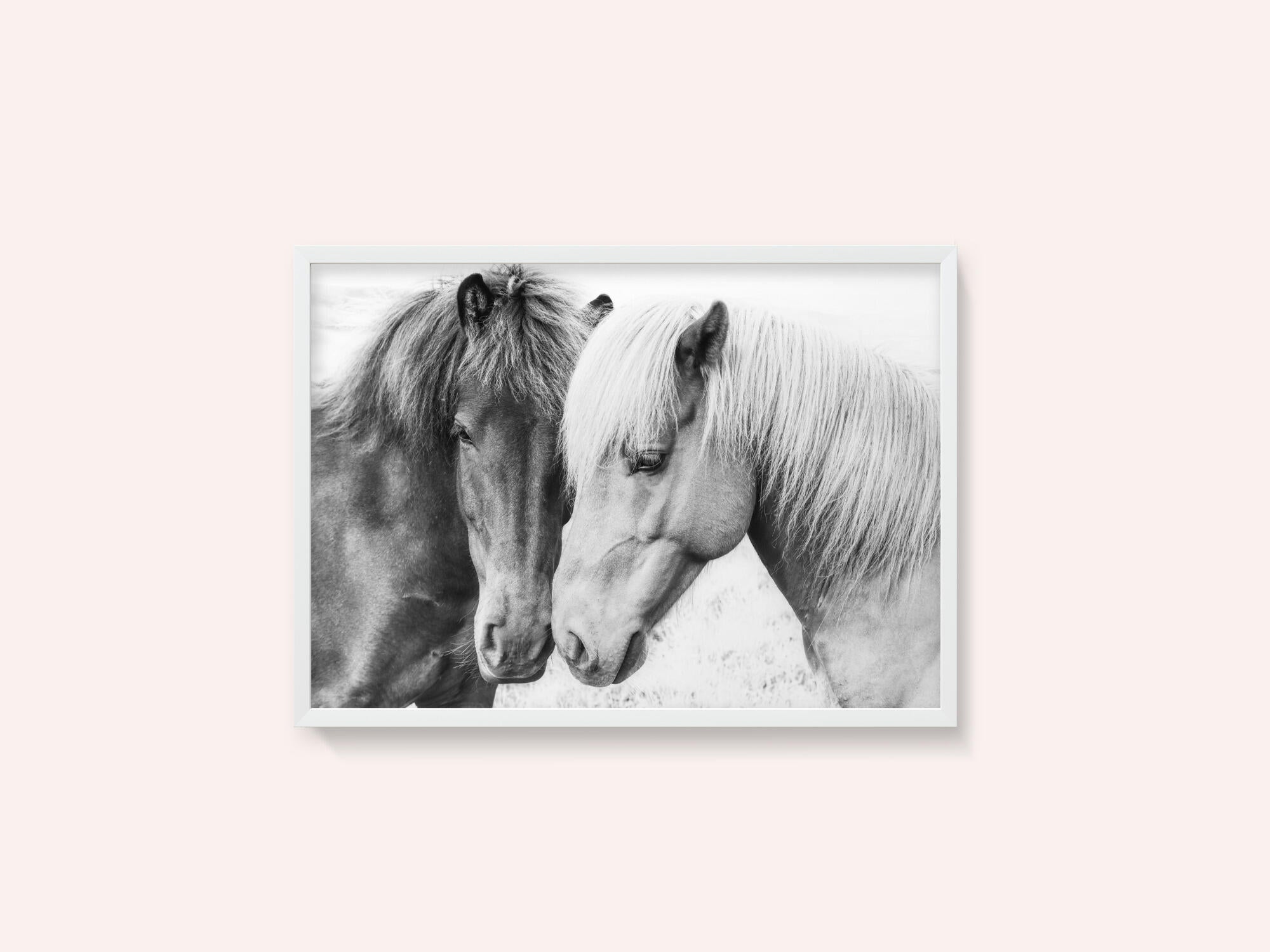 Horse Love