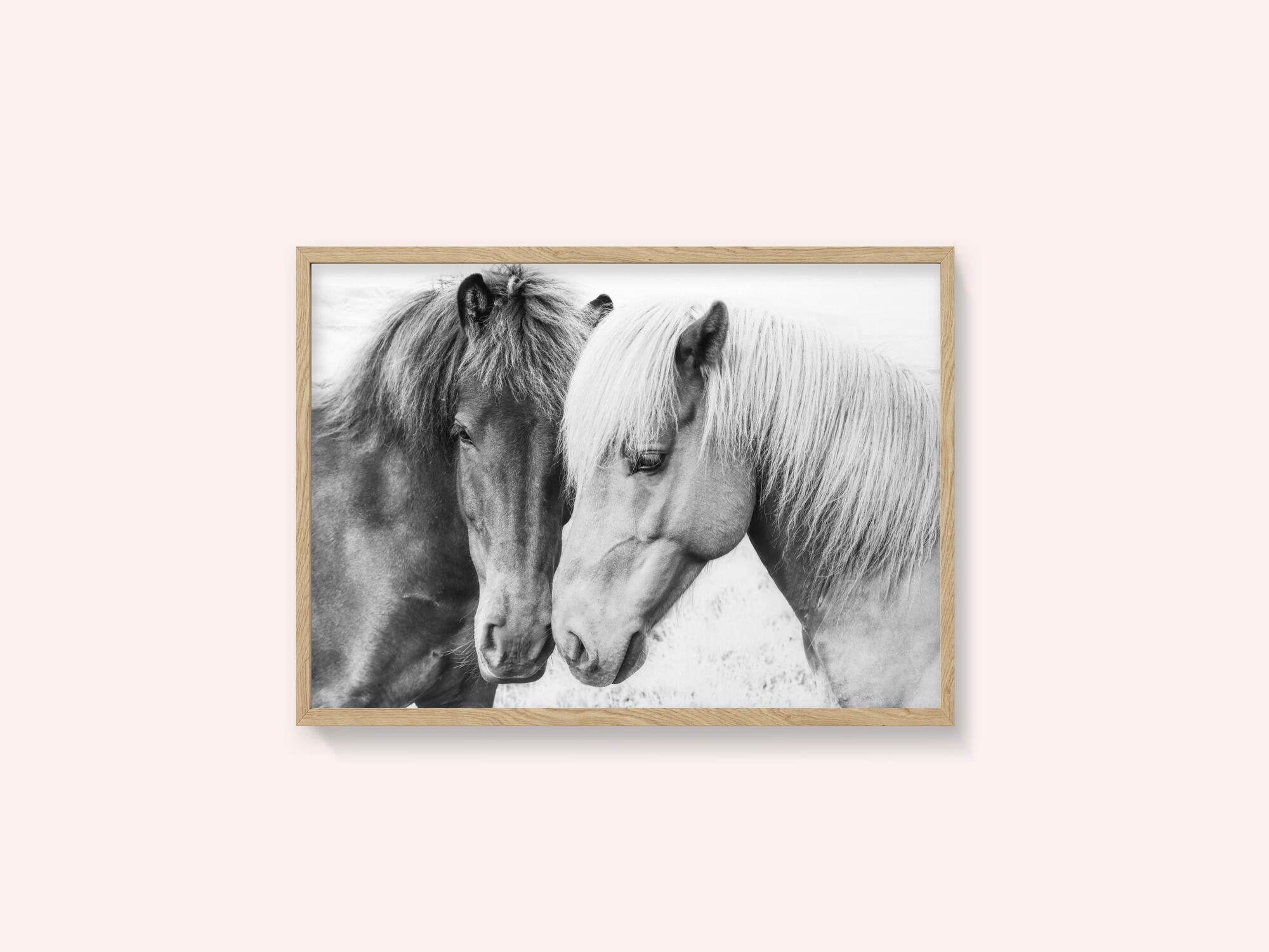 Horse Love