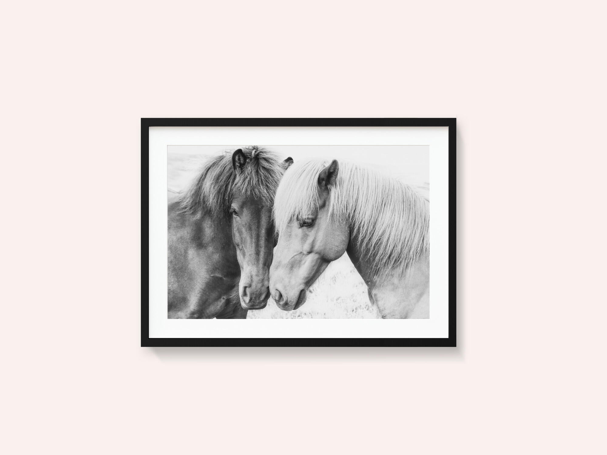 Horse Love