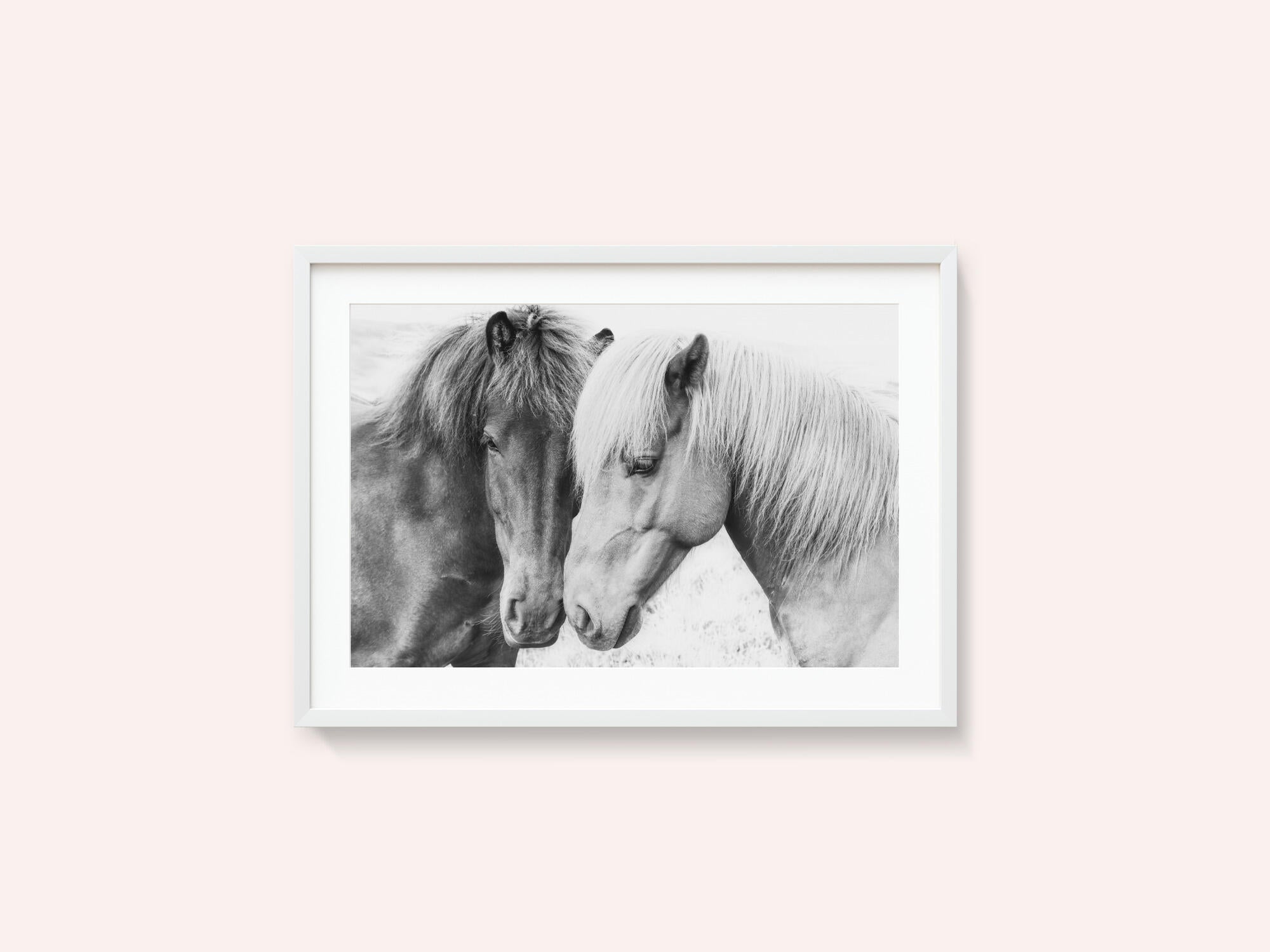 Horse Love
