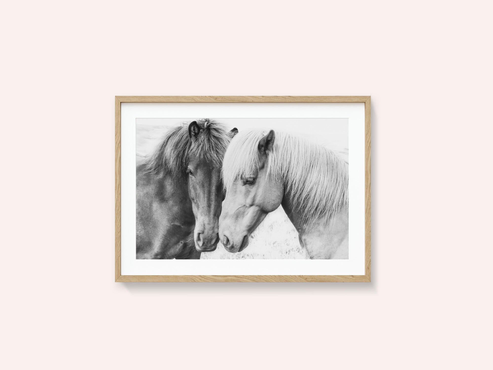 Horse Love