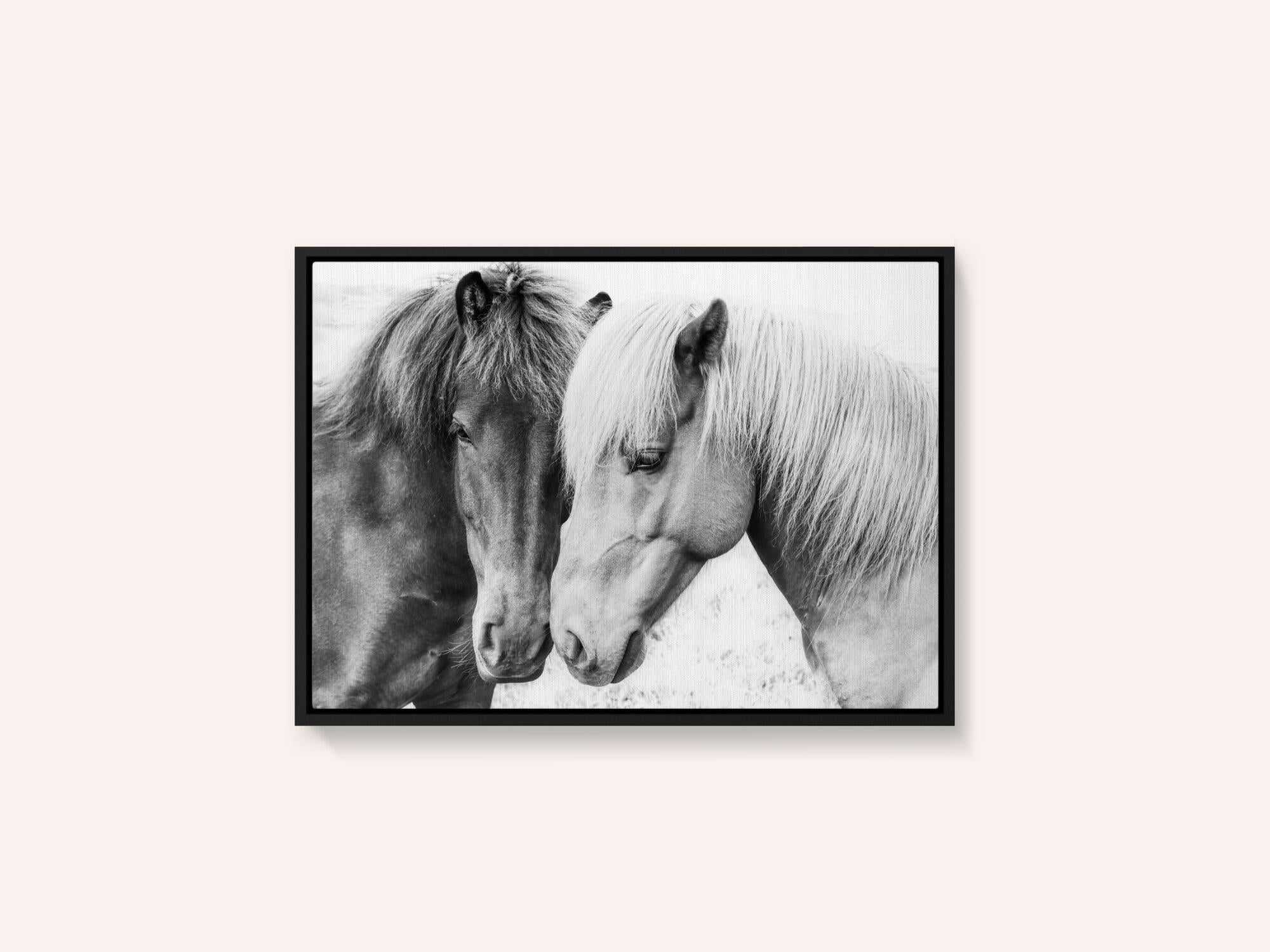 Horse Love