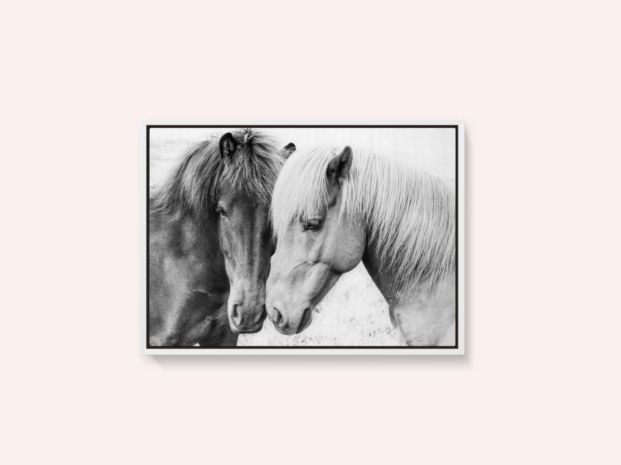 Horse Love