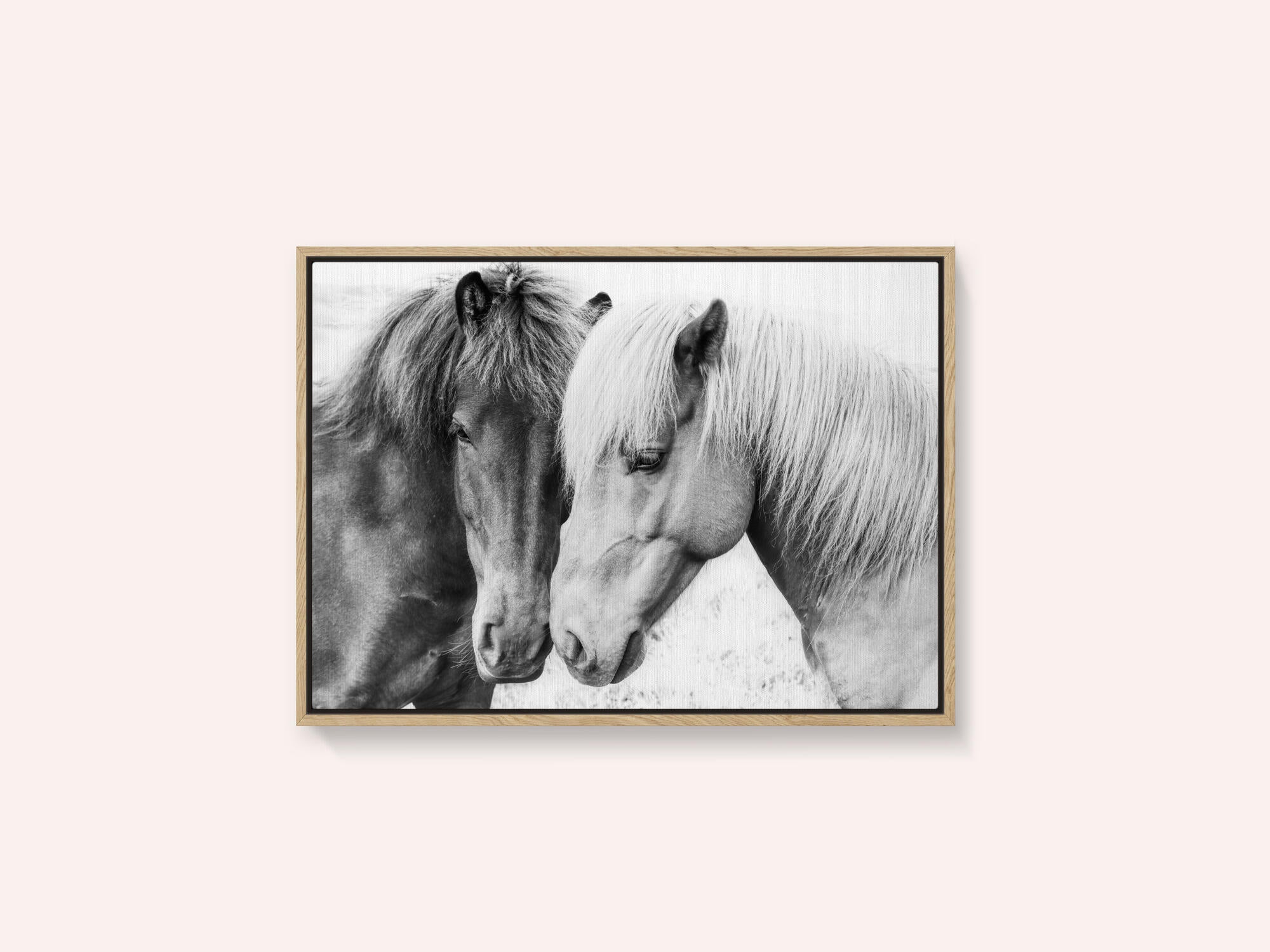 Horse Love