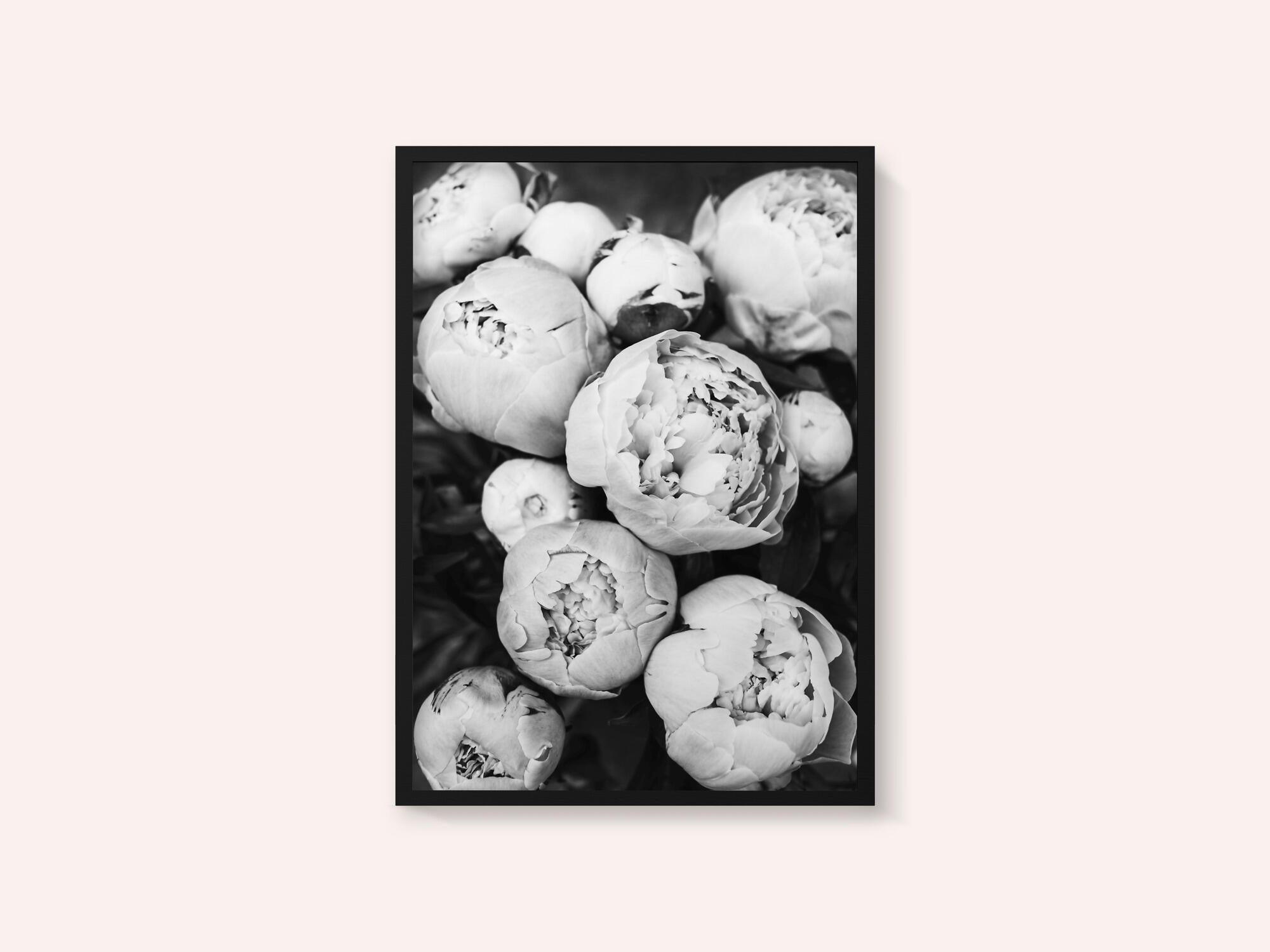 Peonies
