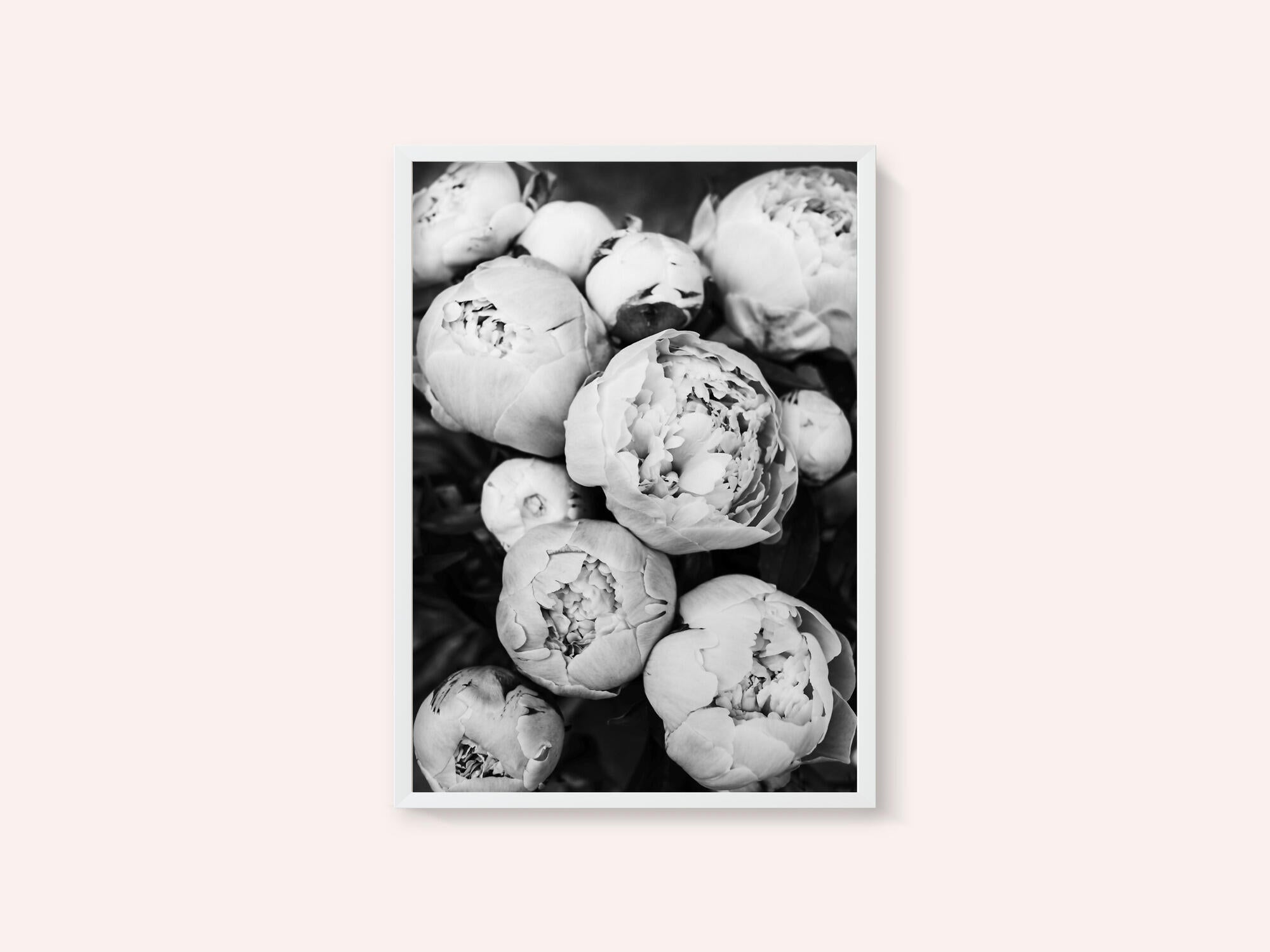 Peonies